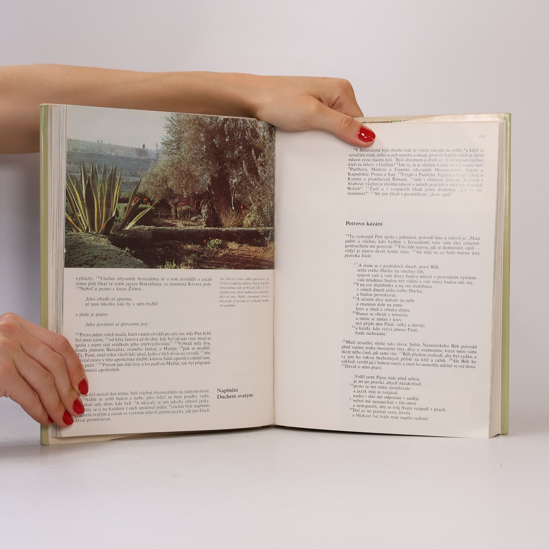 Various authors Nový Zákon s ilustracemi