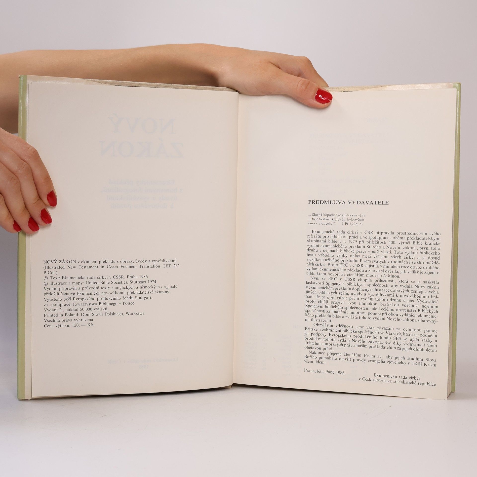 Various authors Nový Zákon s ilustracemi