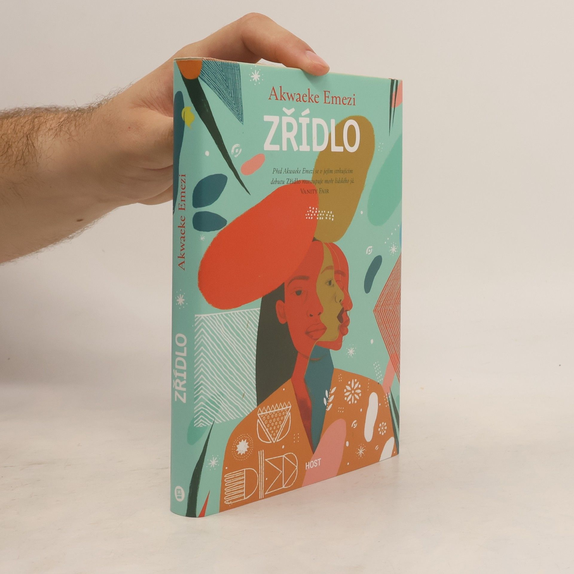 Akwaeke Emezi Zřídlo