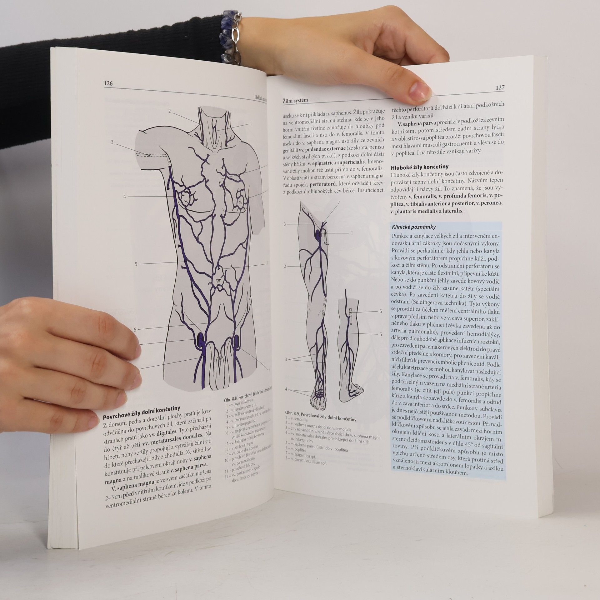 Ondřej Naňka Přehled anatomie