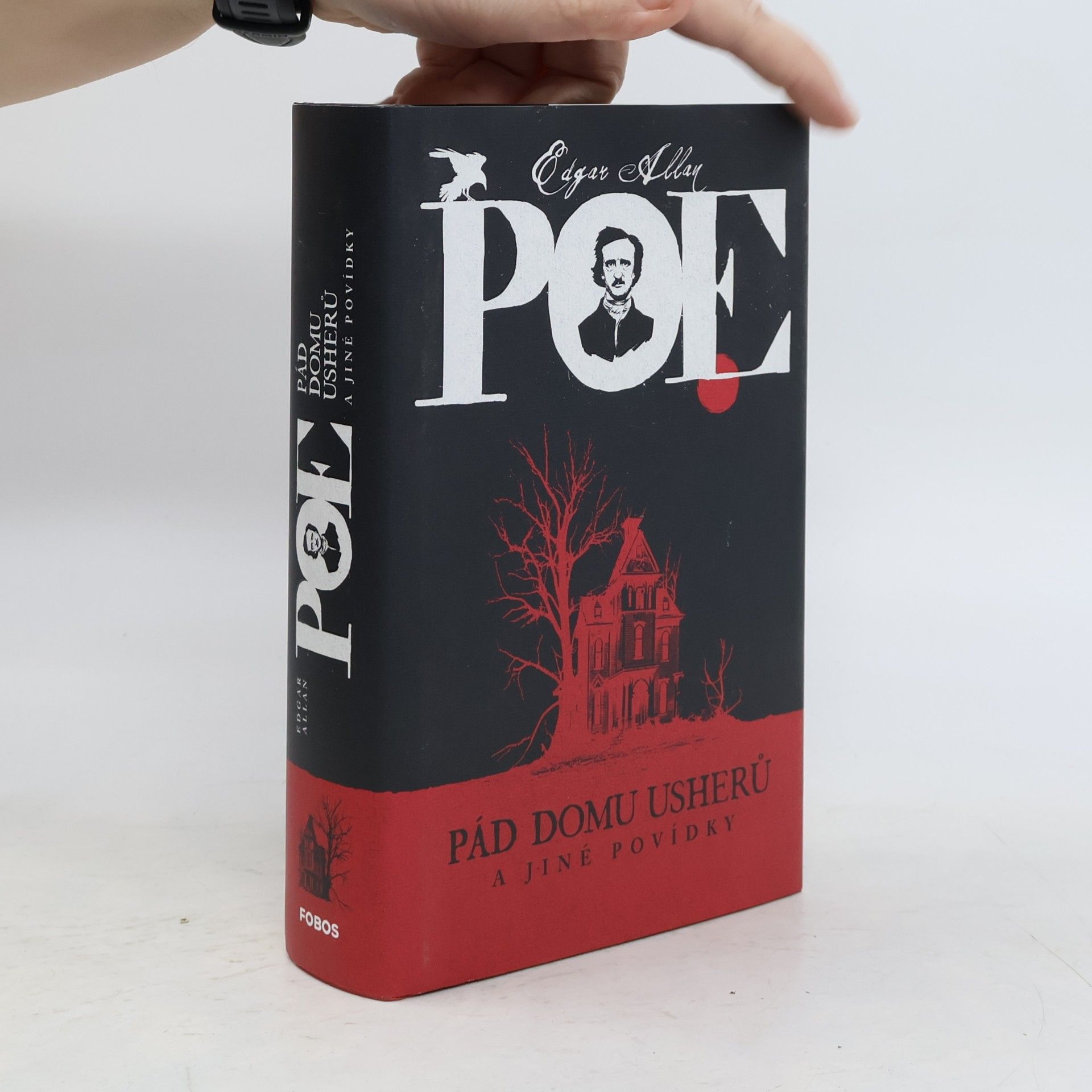 Edgar Allan Poe Pád Domu Usherů a jiné povídky
