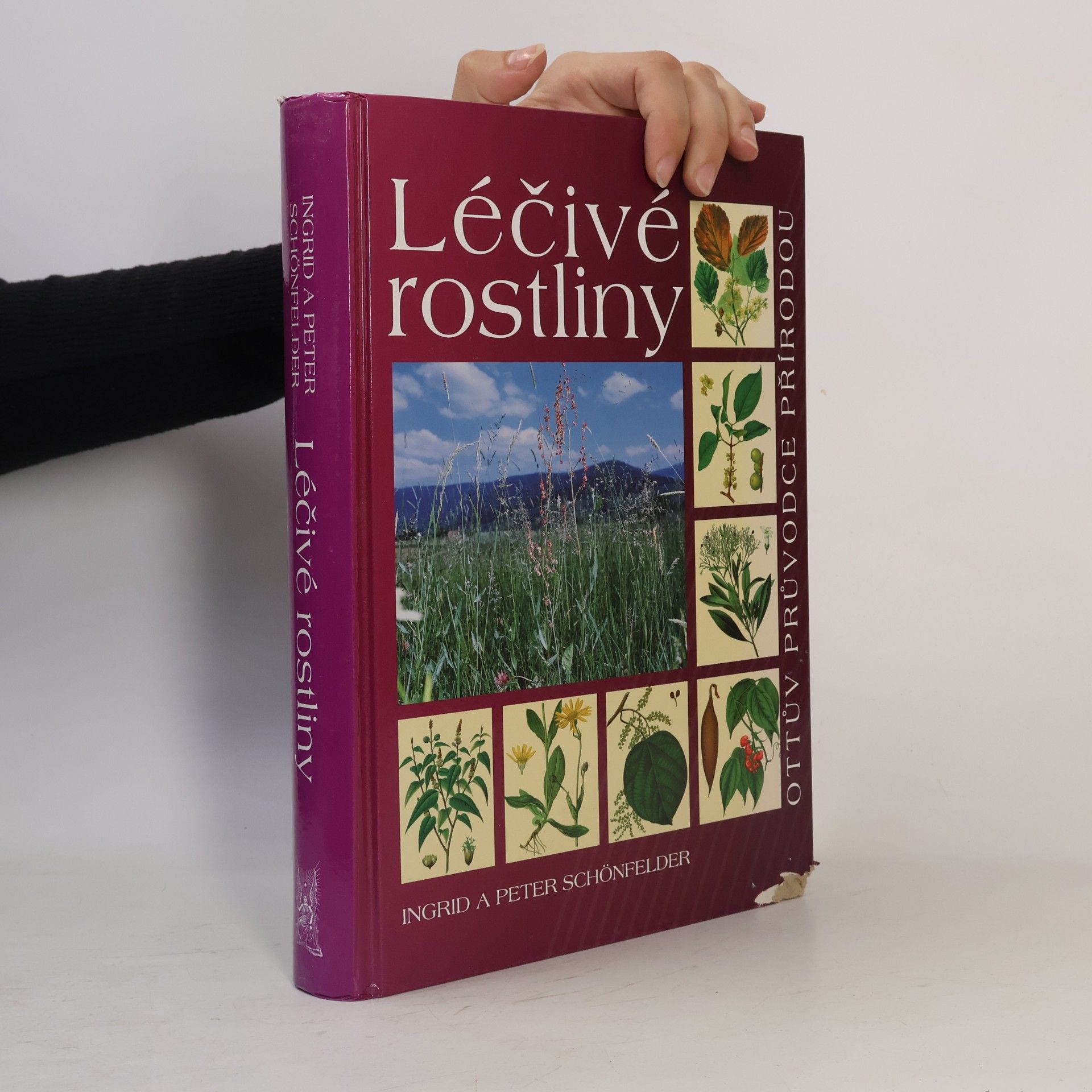 Peter Schönfelder Léčivé rostliny