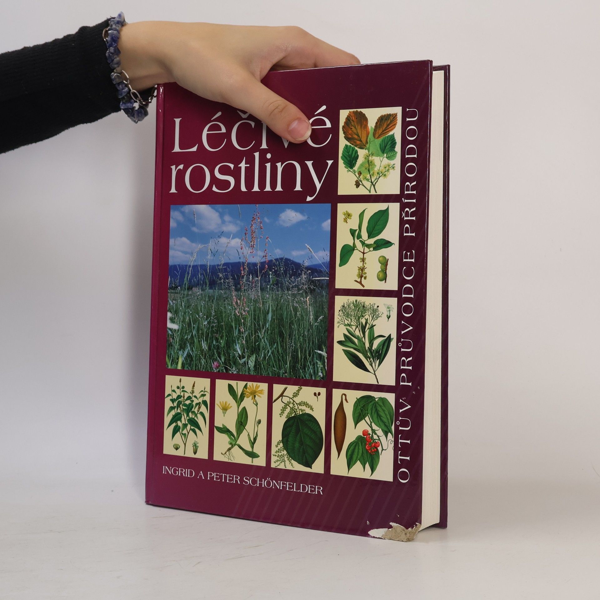Peter Schönfelder Léčivé rostliny