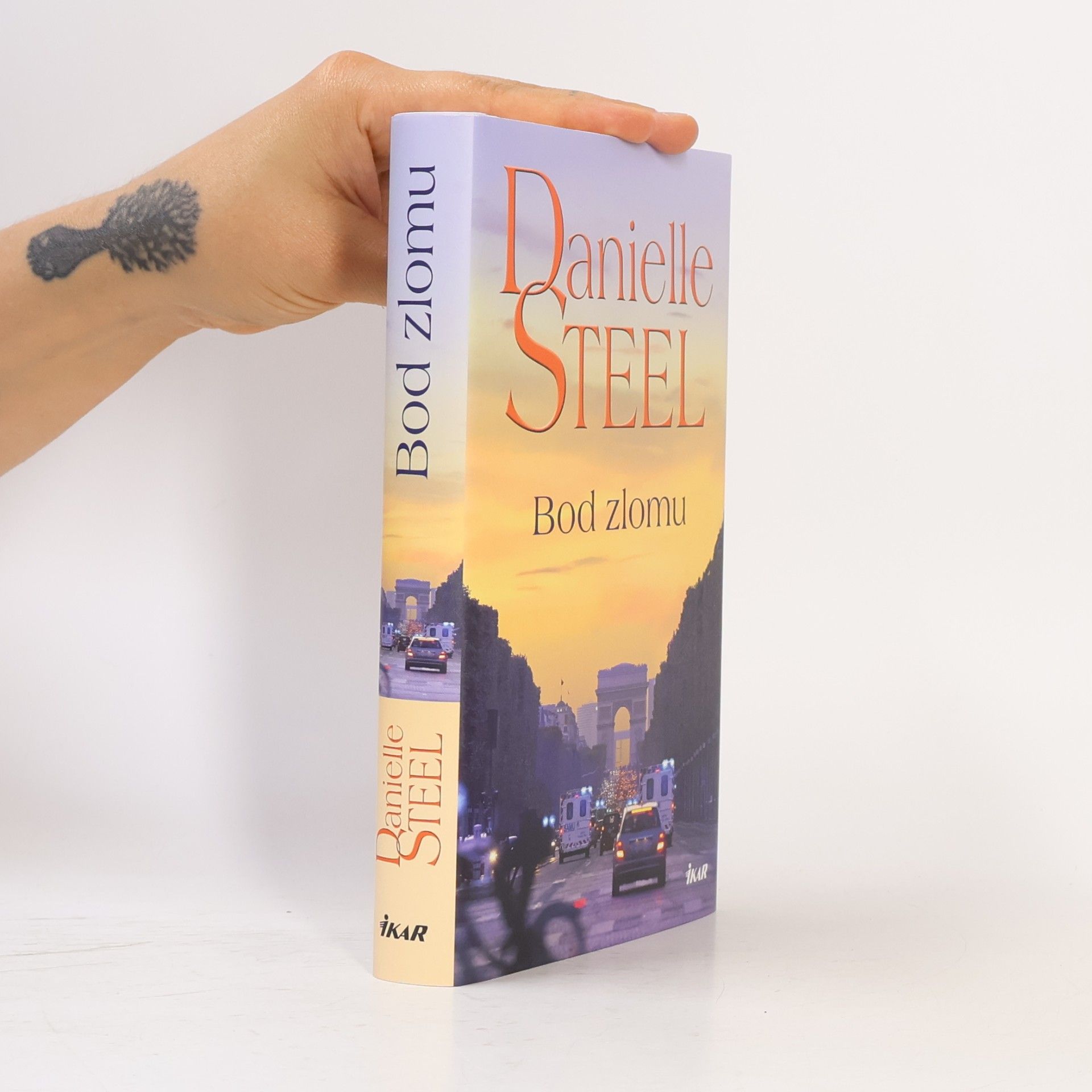 Danielle Steel Bod zlomu