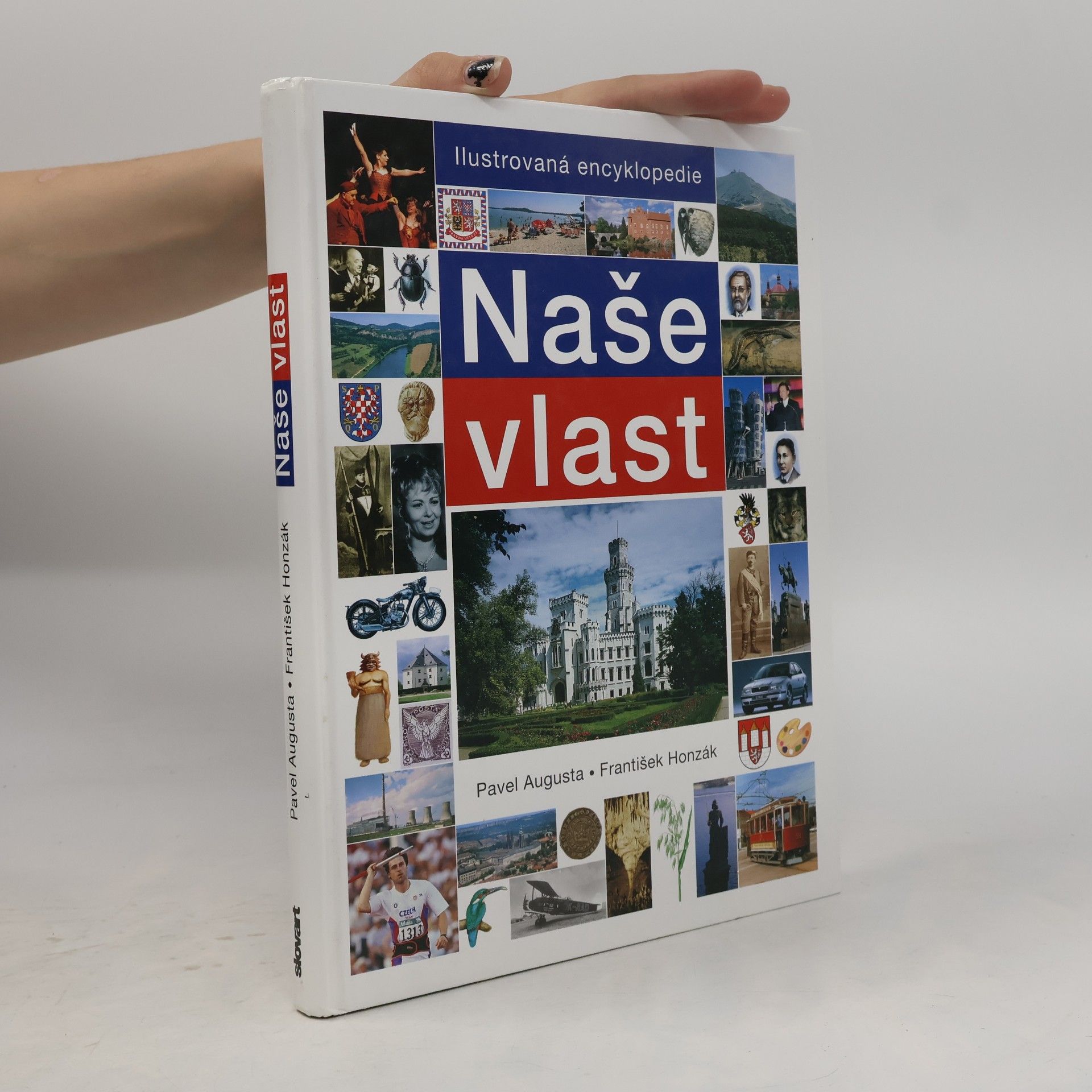 Naše vlast
