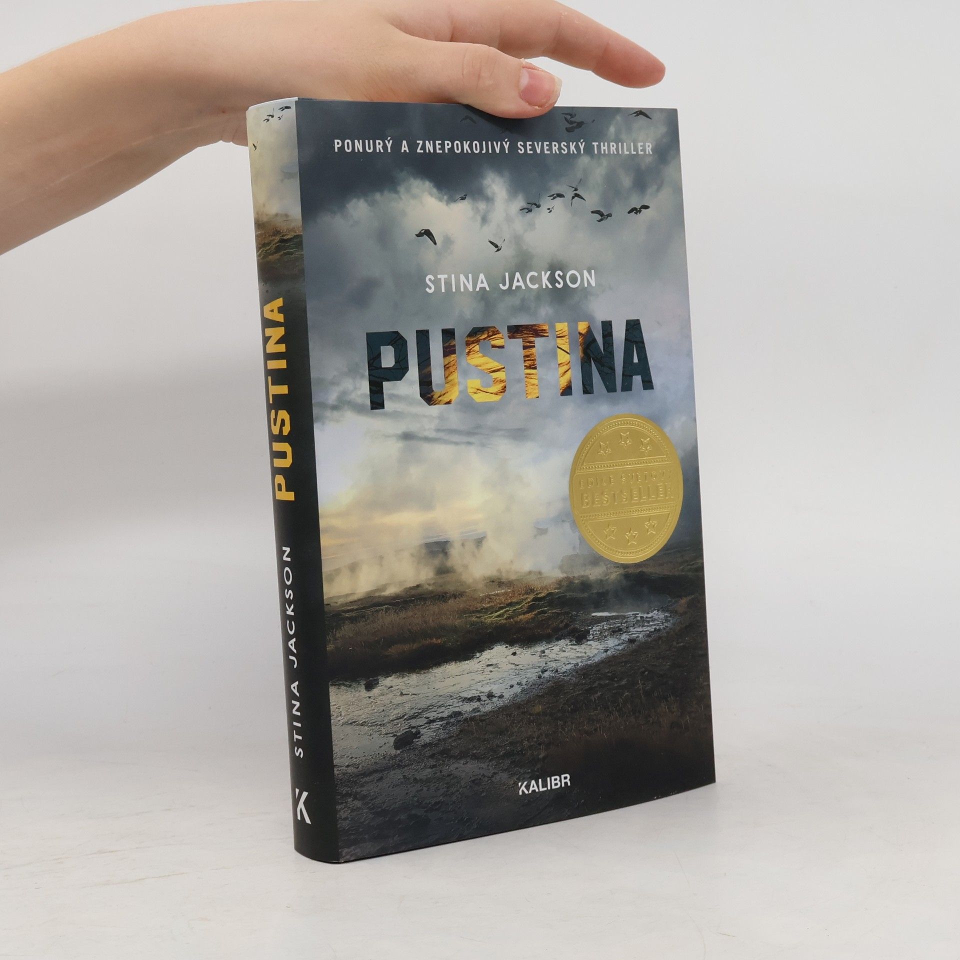 Stina Jackson Pustina