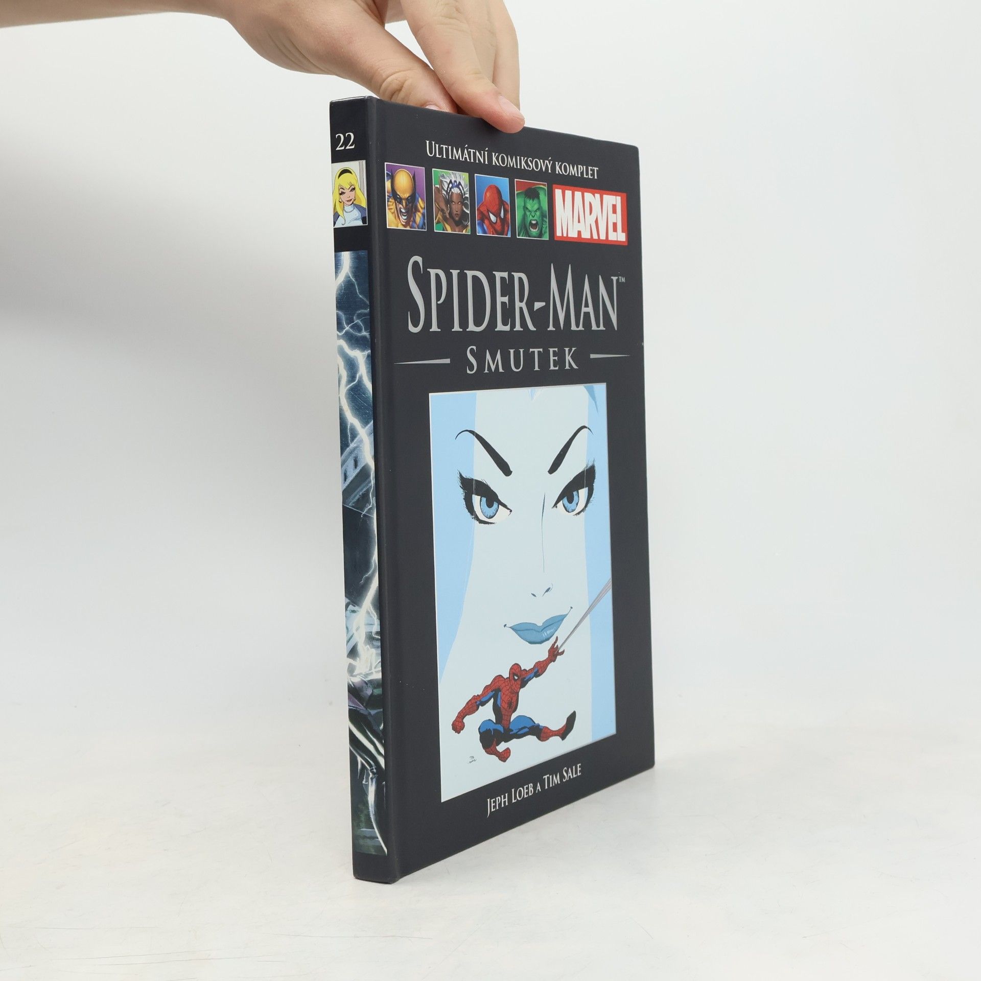 Jeph Loeb Spider-Man. Smutek