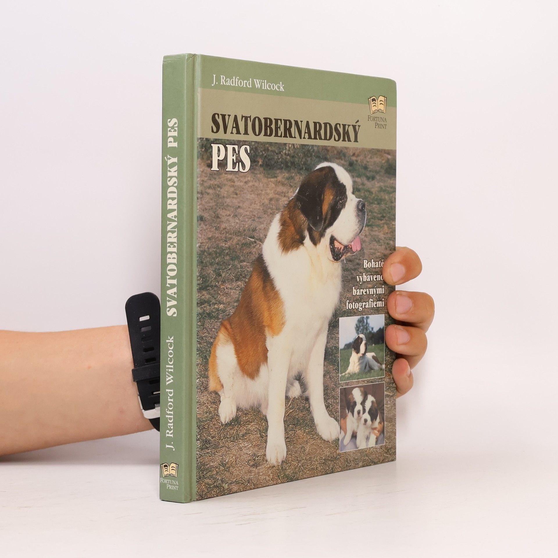 J. Radford Wilcock Svatobernardský pes