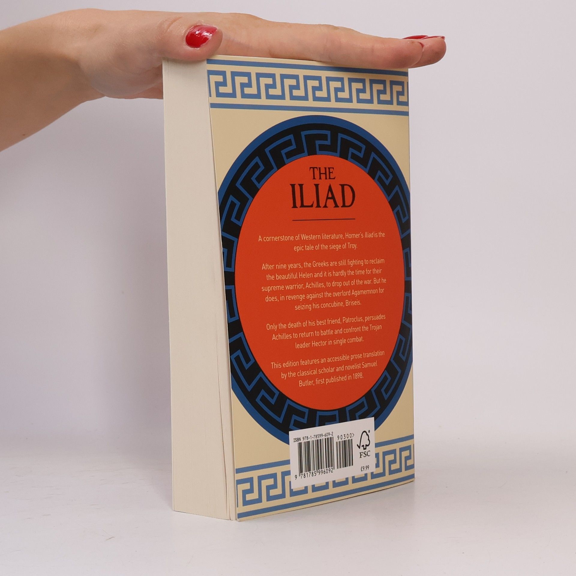 Homér The Iliad