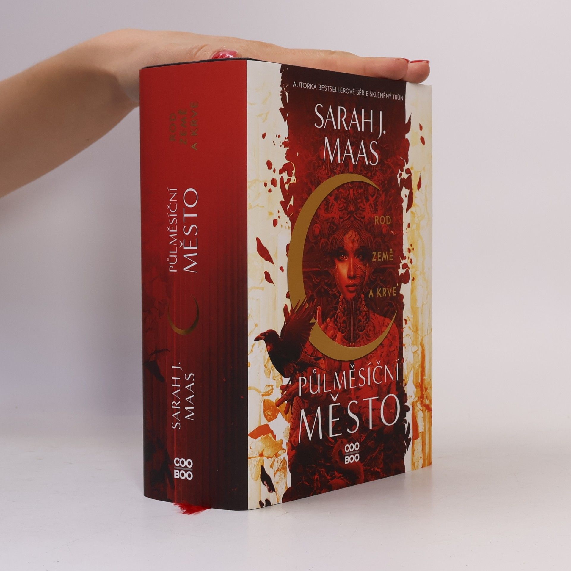 Sarah J. Maas Rod země a krve