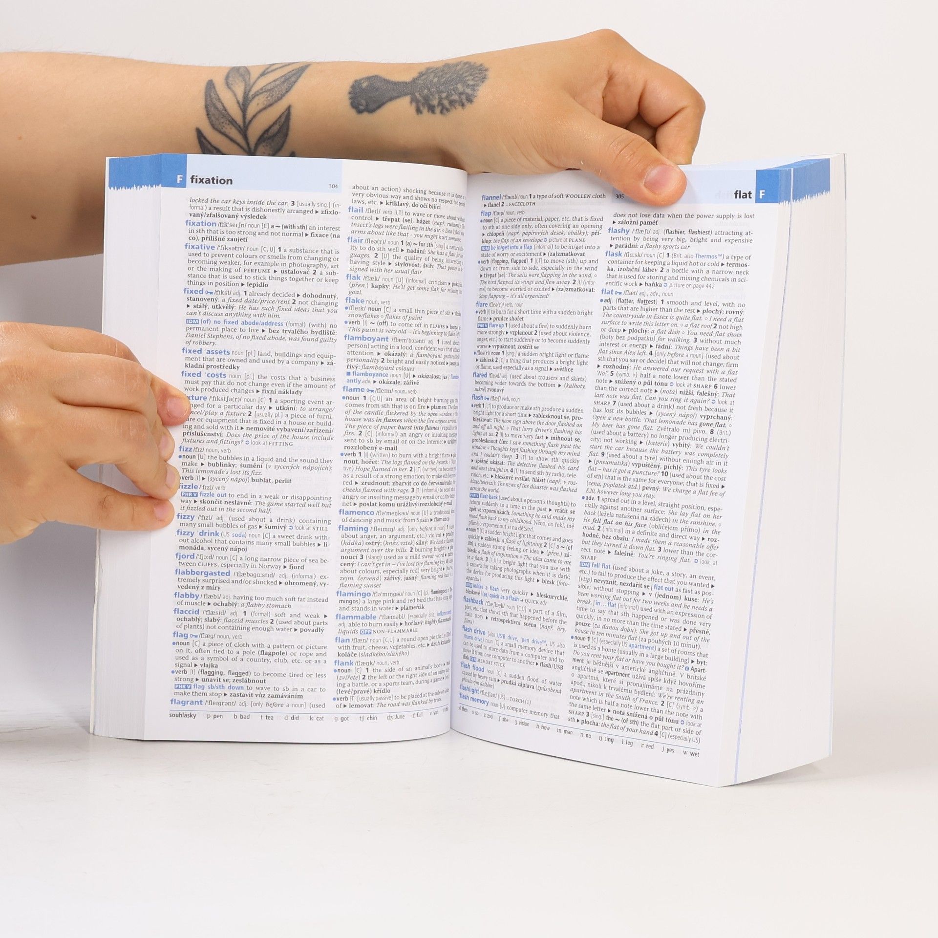 Autorenkollektiv Oxford studijní slovník