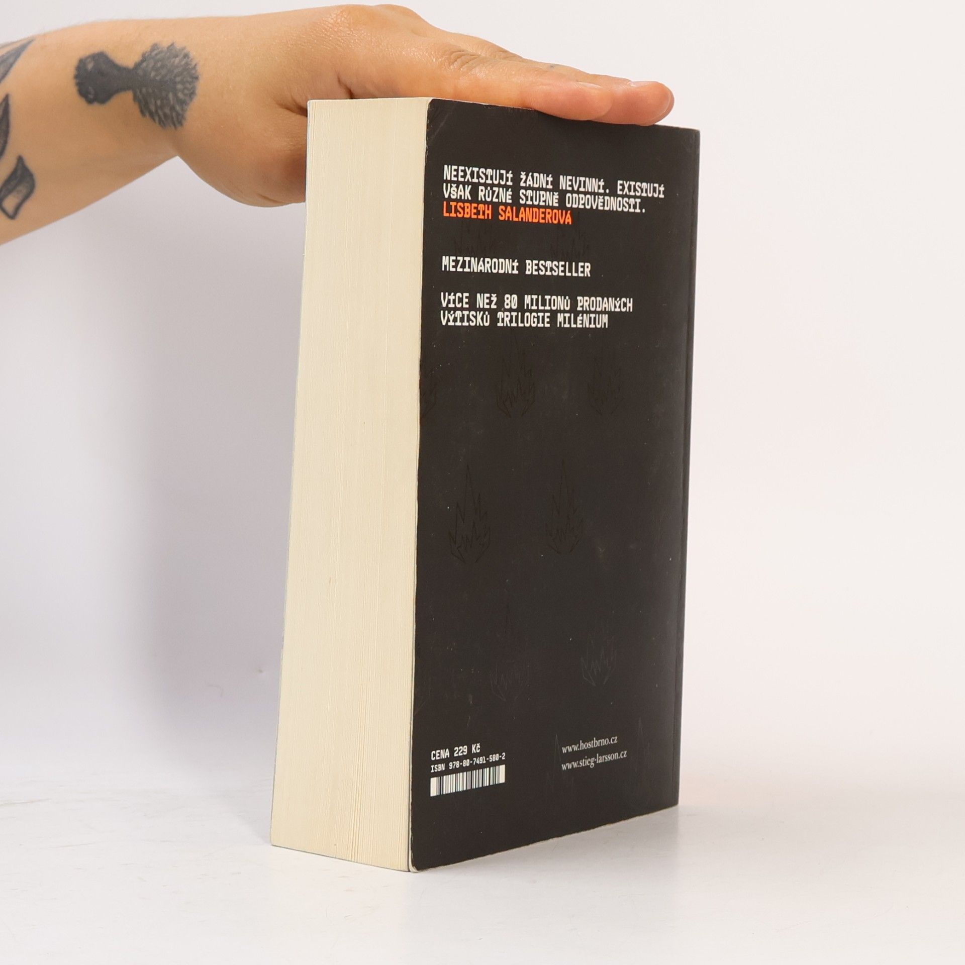Stieg Larsson Dívka, která si hrála s ohněm