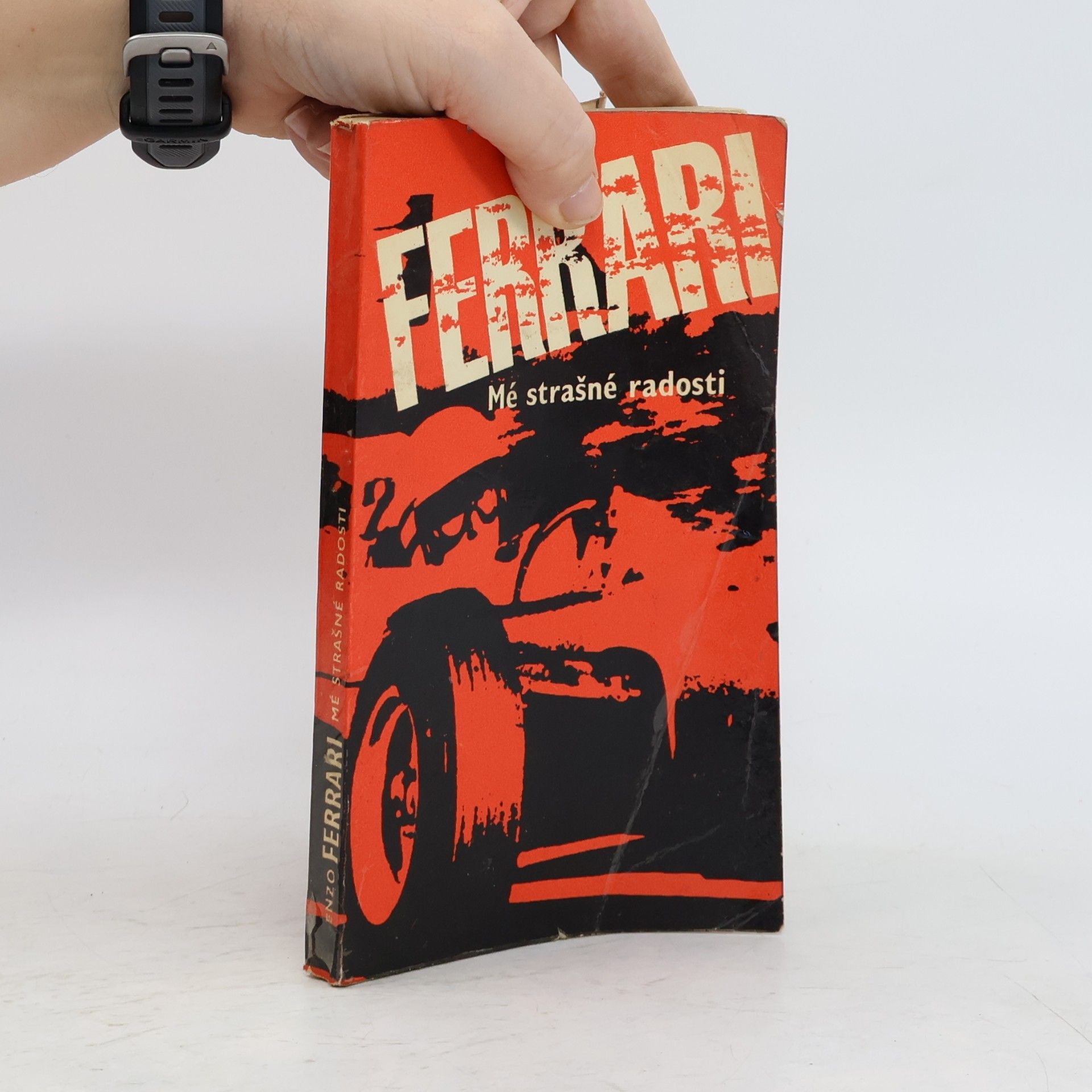 Enzo Ferrari Mé strašné radosti