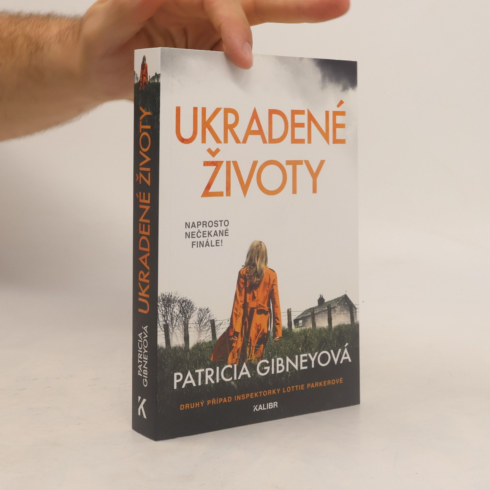 Patricia Gibney Ukradené životy