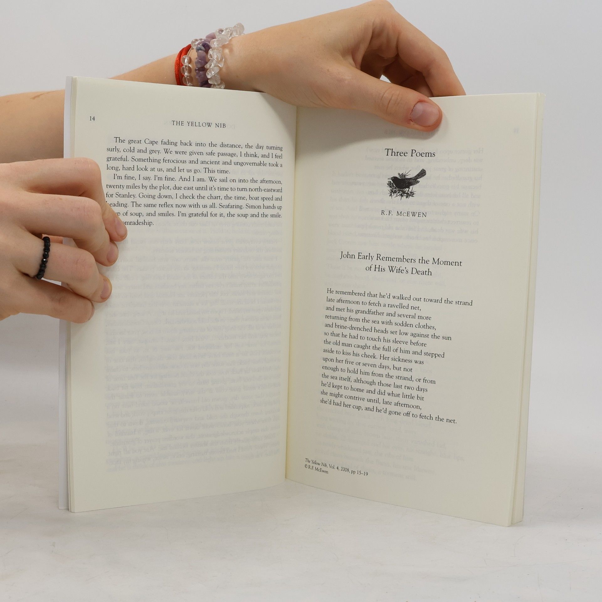 Andrew McNeillie The Yellow Nib, Volume 4: The Literary Journal of the Seamus Heaney Centre for Poetry