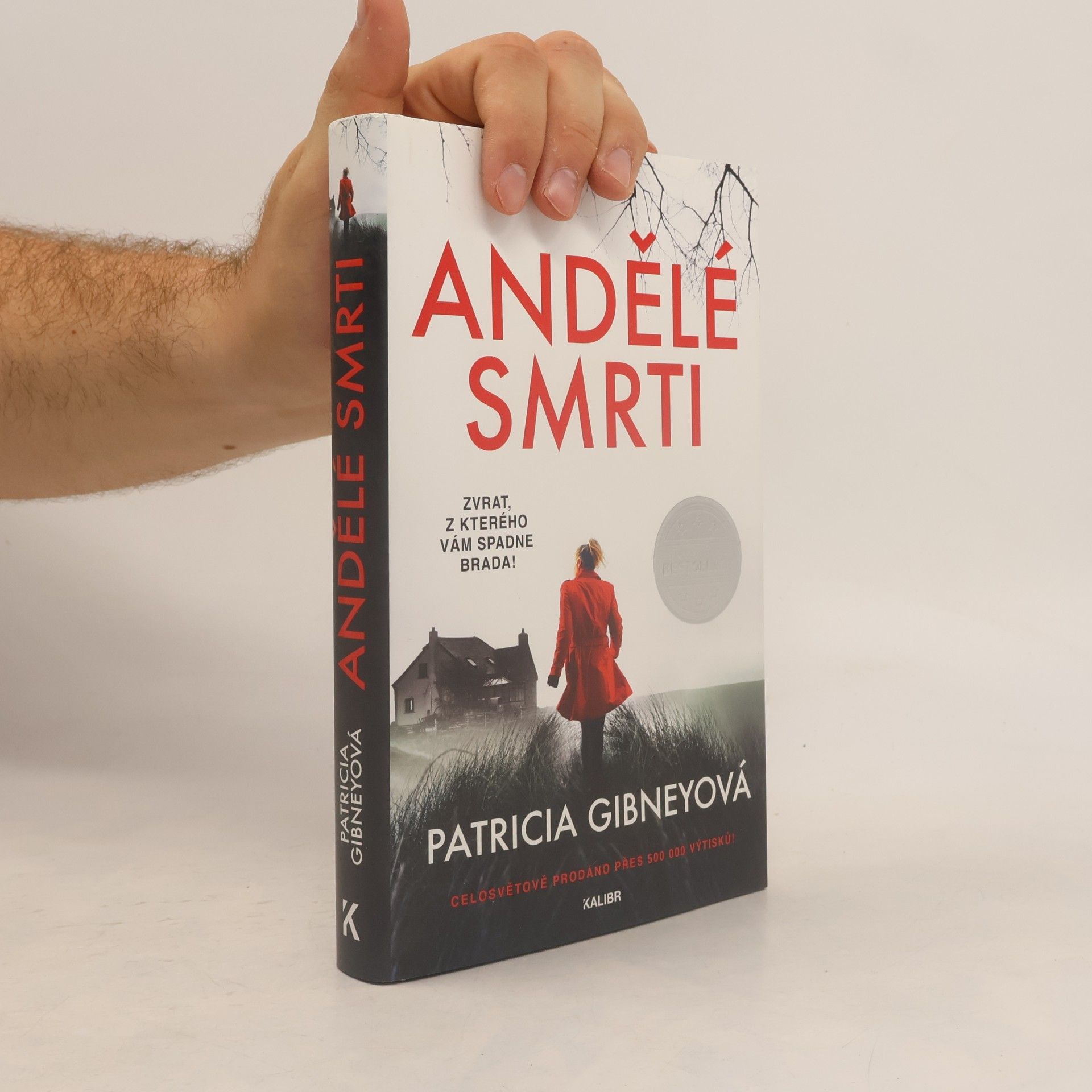 Patricia Gibney Andělé smrti