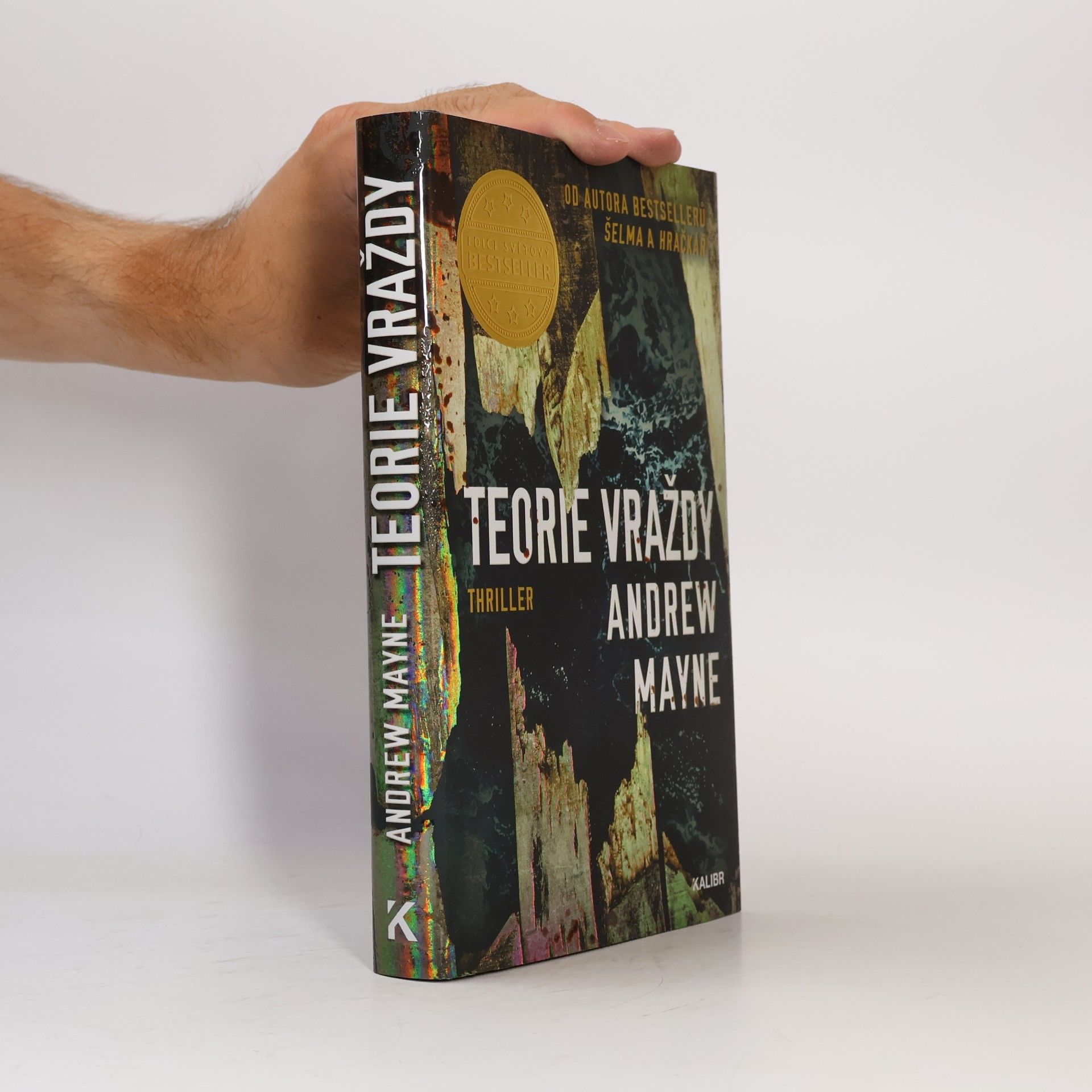 Andrew Mayne Teorie vraždy
