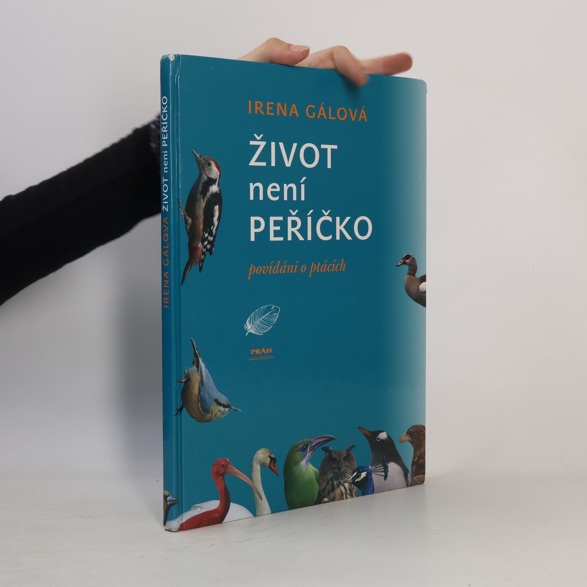 Irena Gálová Život není peříčko: Povídání o ptácích