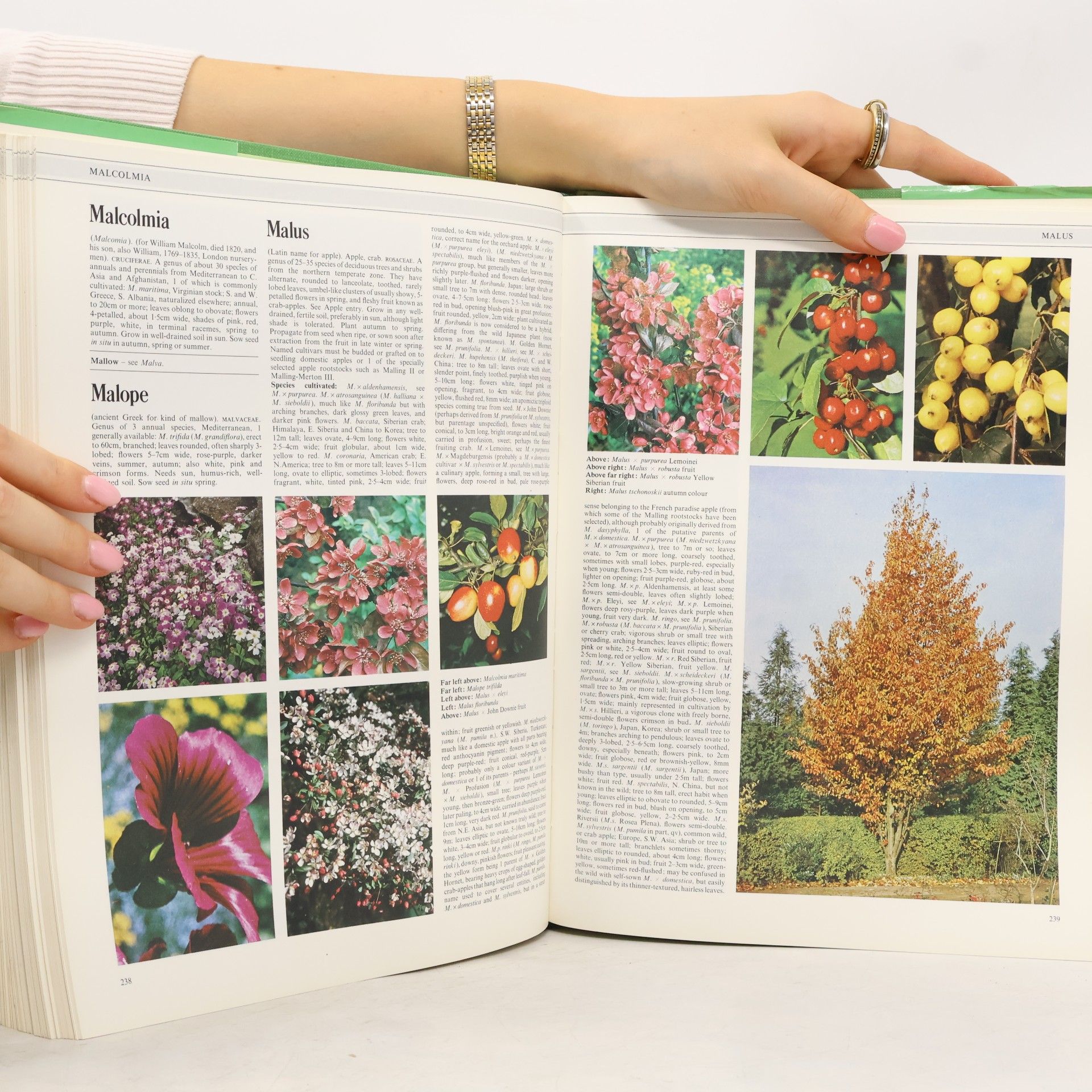 Kenneth A. Beckett The Concise Encyclopedia of Garden Plants