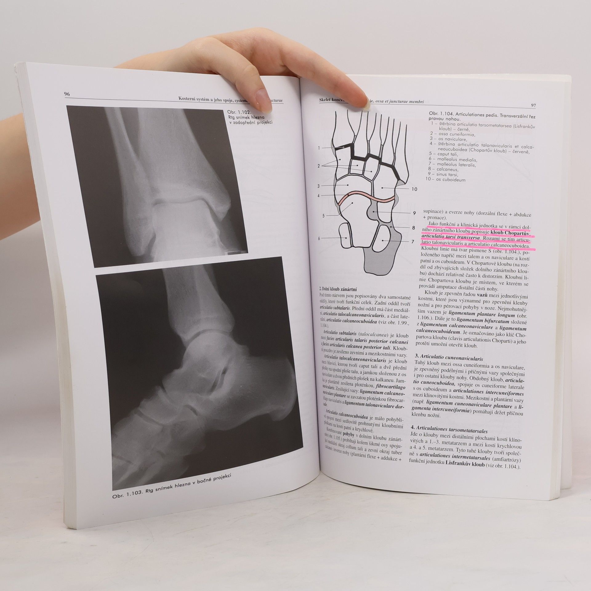 Miloš Grim Základy anatomie 1. Obecná anatomie a pohybový systém