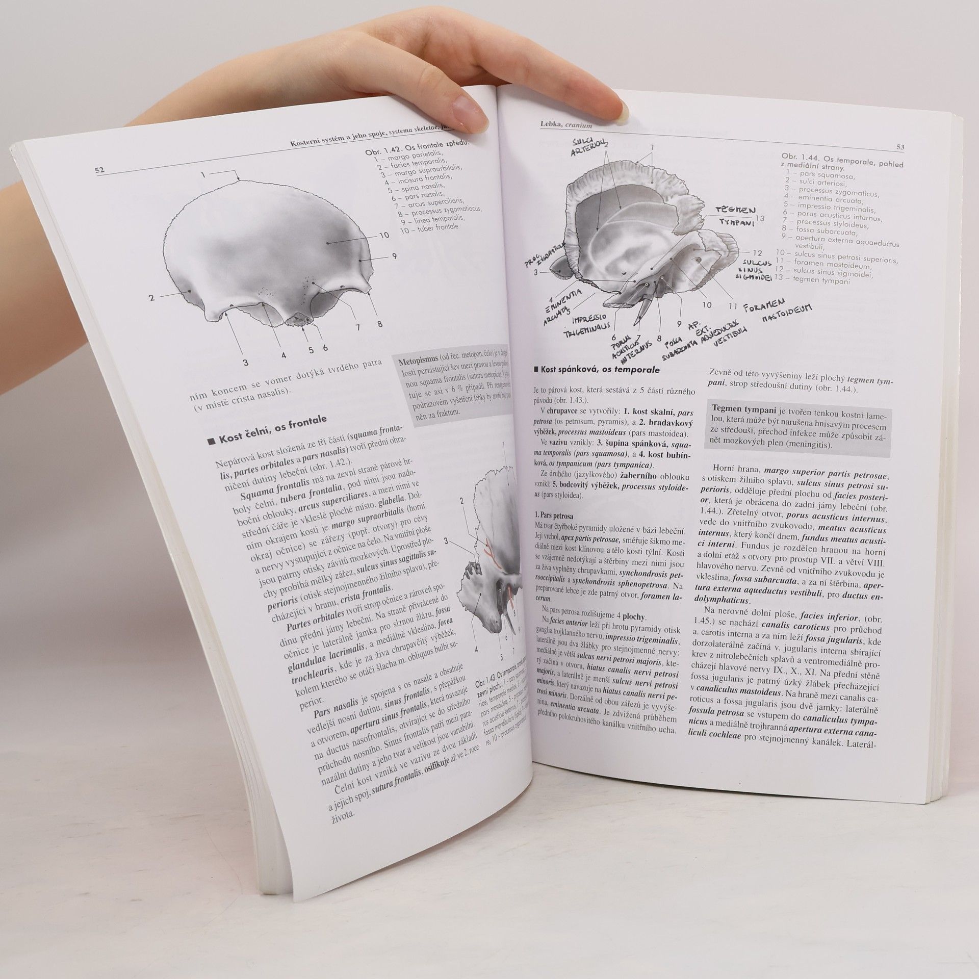 Miloš Grim Základy anatomie 1. Obecná anatomie a pohybový systém