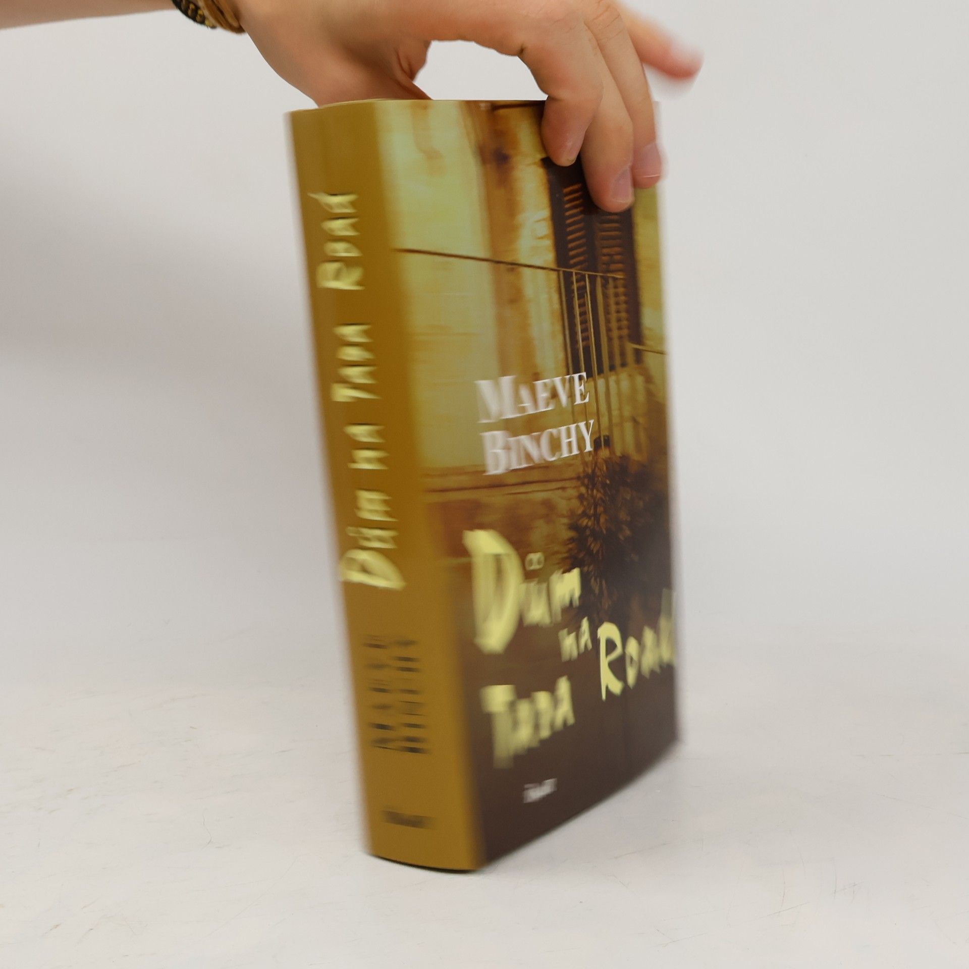 Maeve Binchy Dům na Tara Road