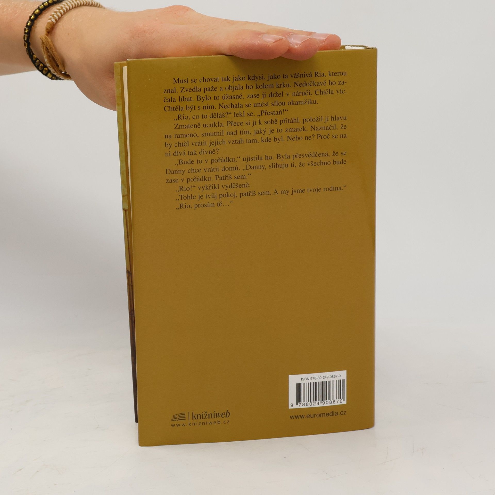 Maeve Binchy Dům na Tara Road