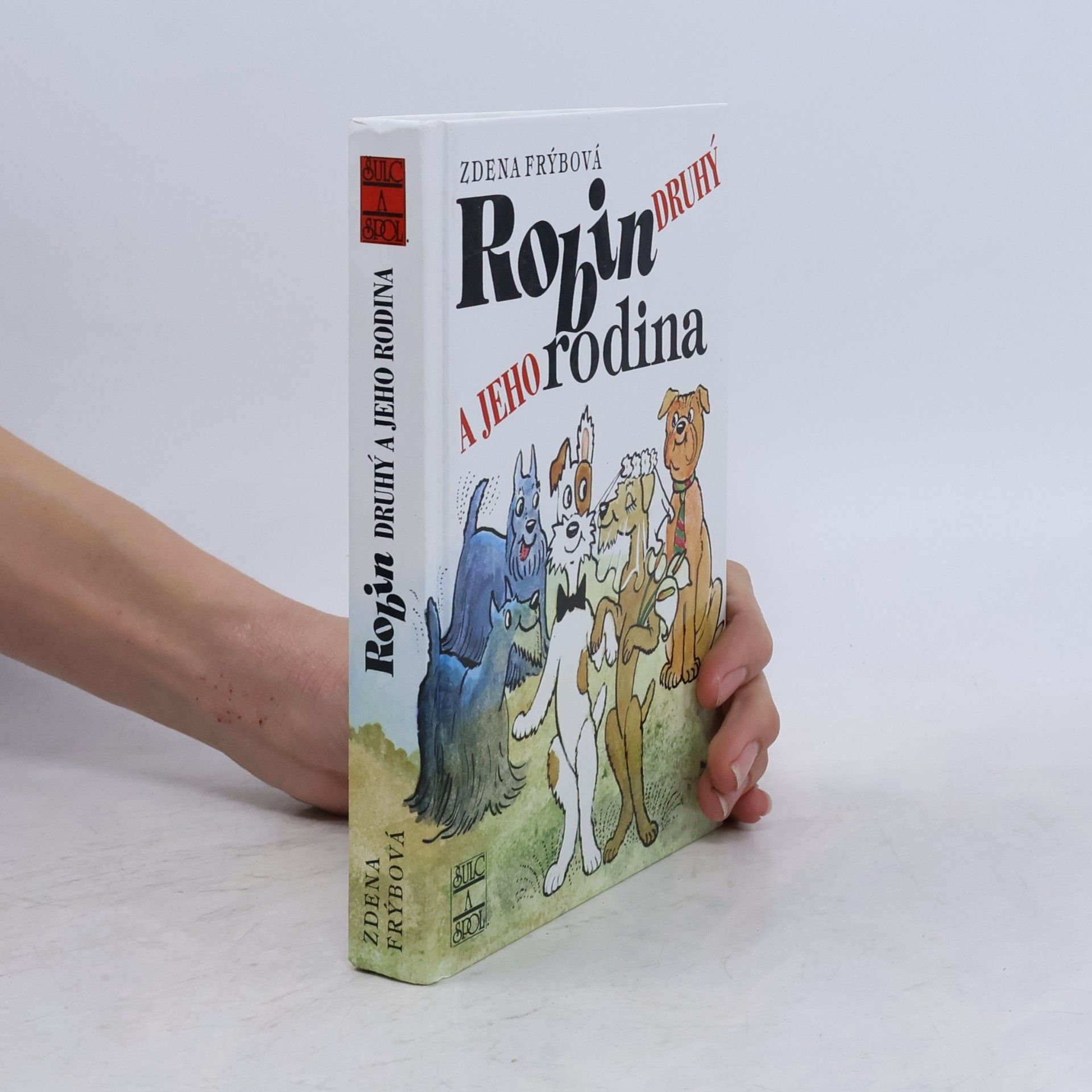 Zdena Frýbová Robin Druhý a jeho rodina