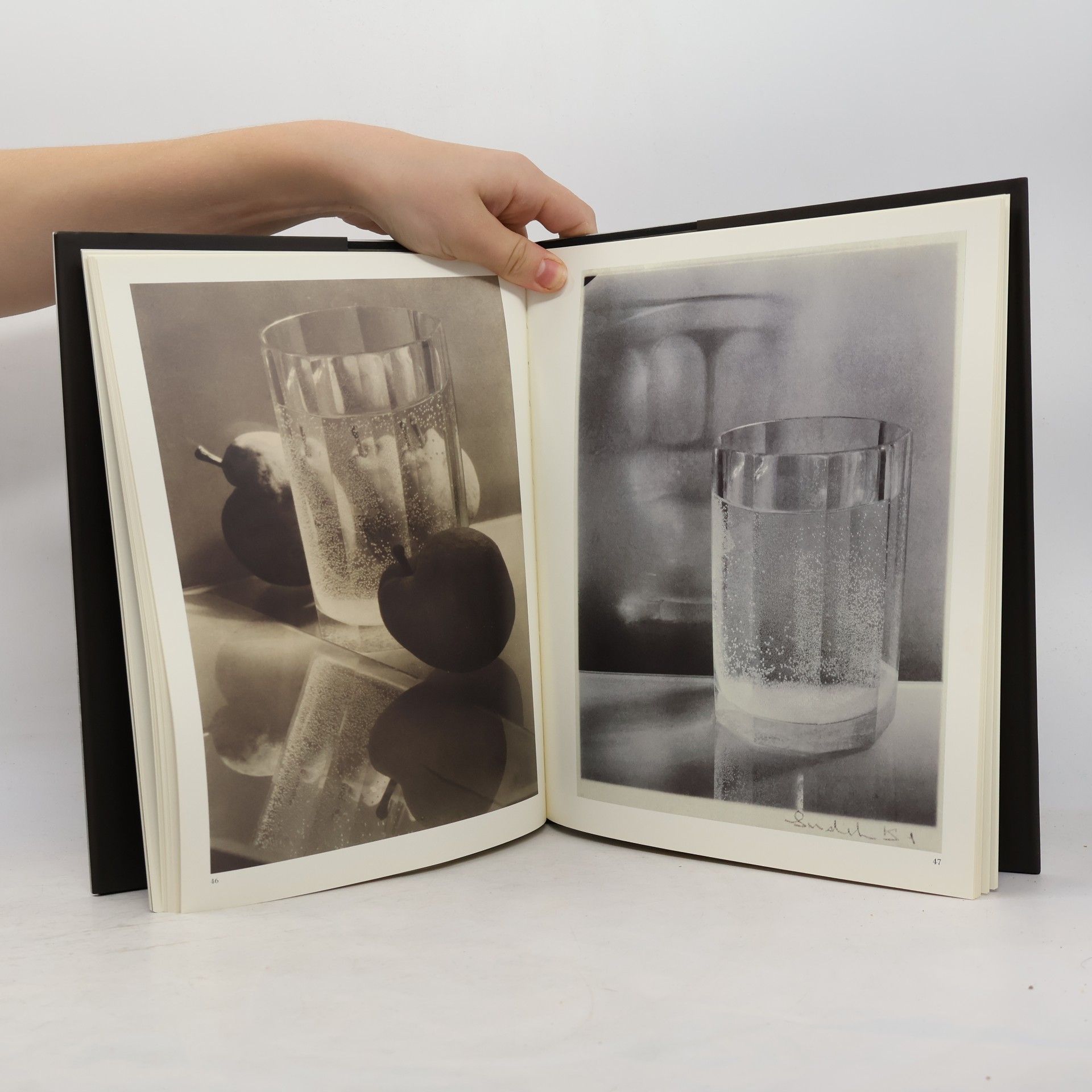 Josef Sudek Josef Sudek. Zátiší