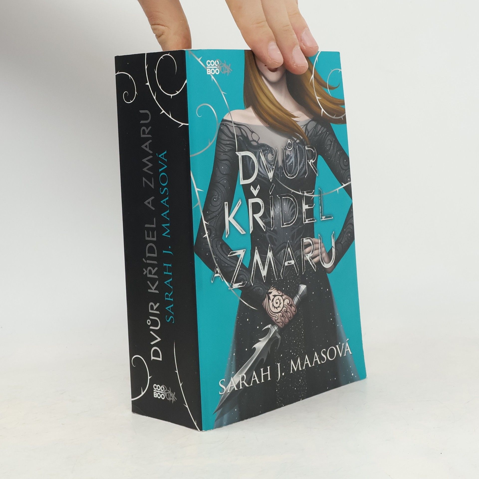 Sarah J. Maasová Dvůr křídel a zmaru