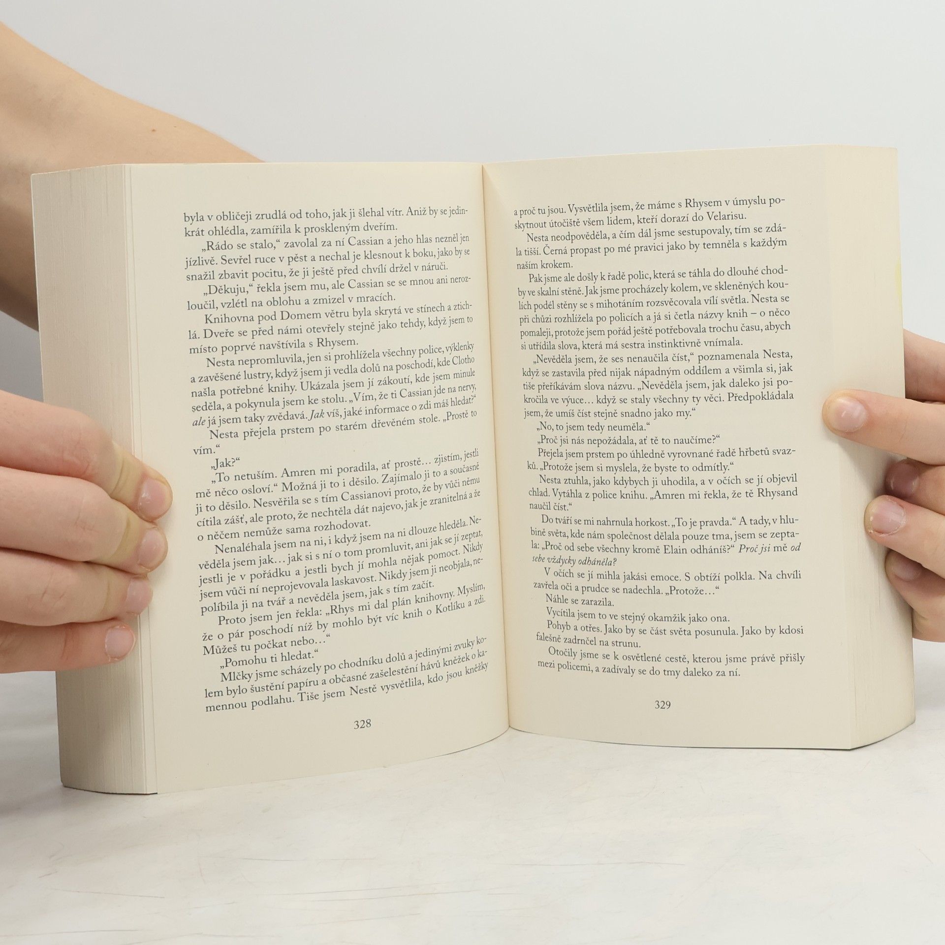 Sarah J. Maas Dvůr křídel a zmaru
