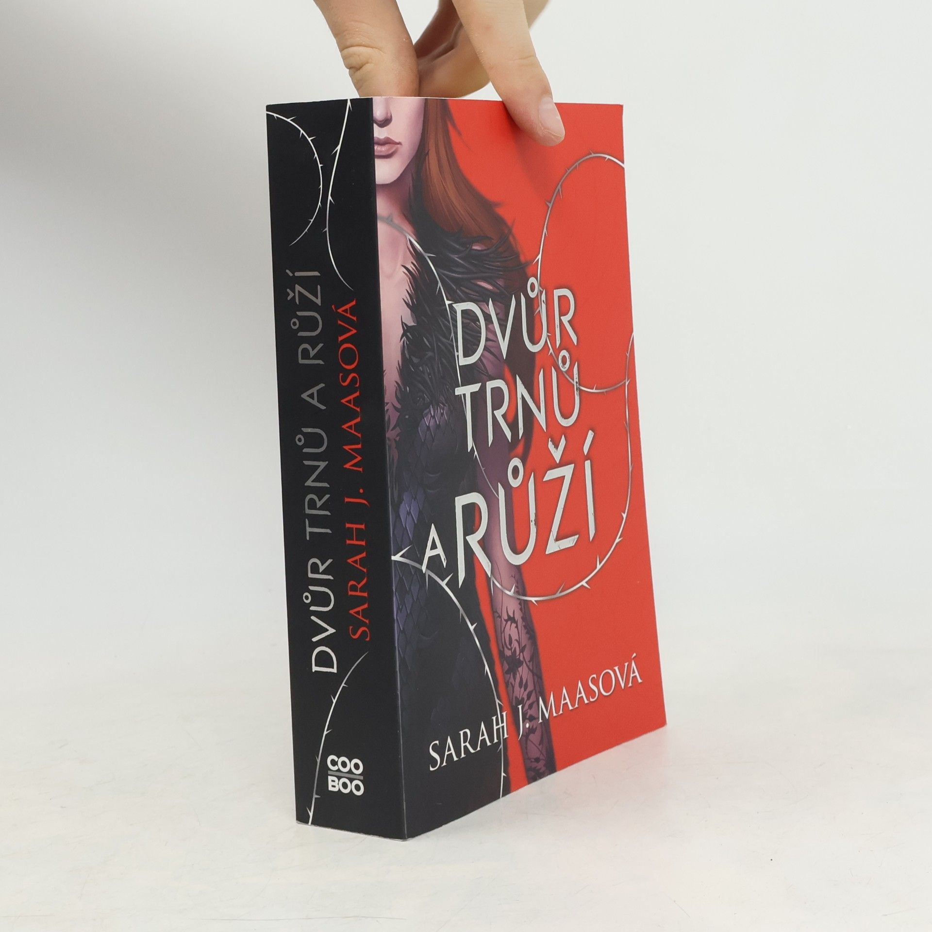 Sarah J. Maas Dvůr trnů a růží