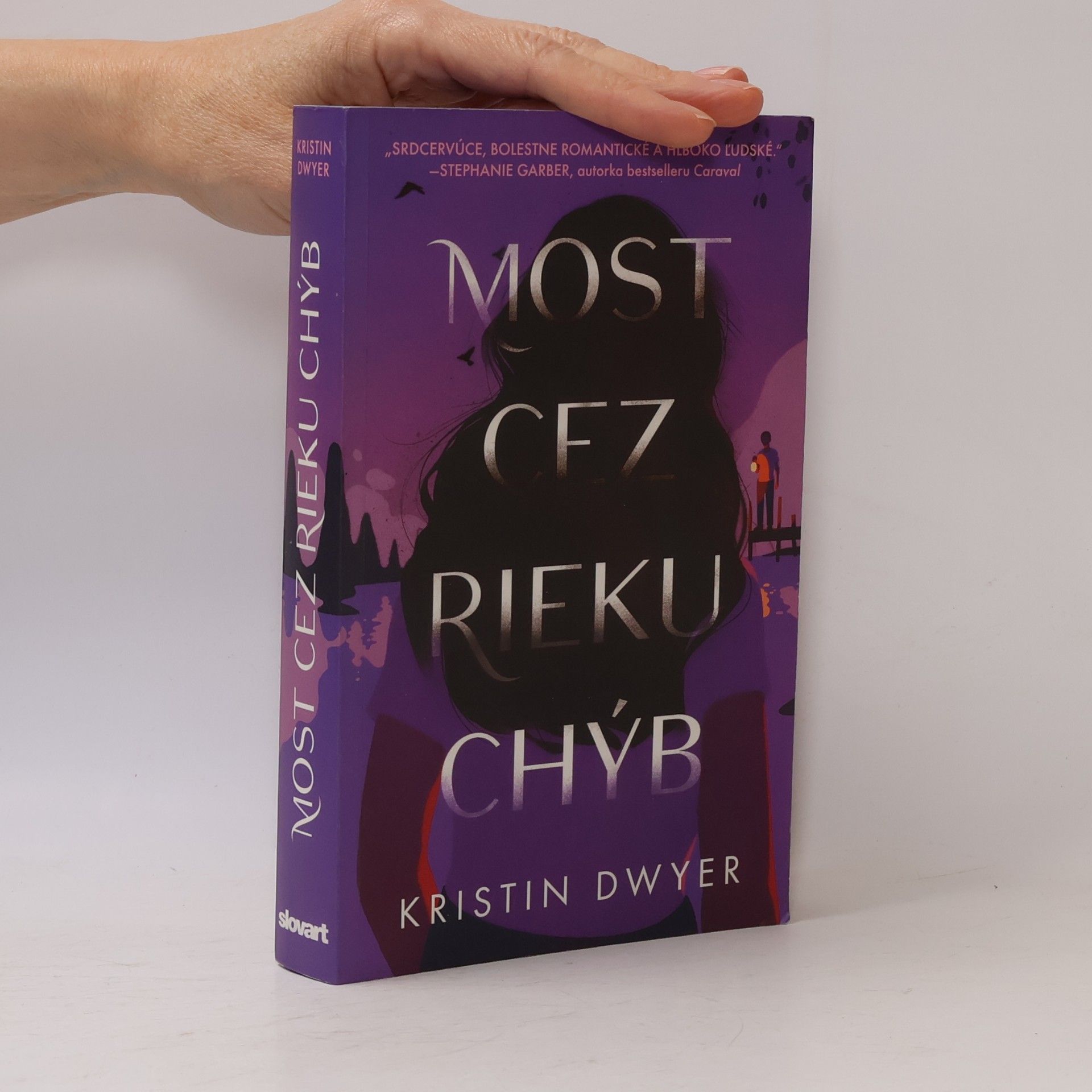 Kristin Dwyer Most cez rieku chýb