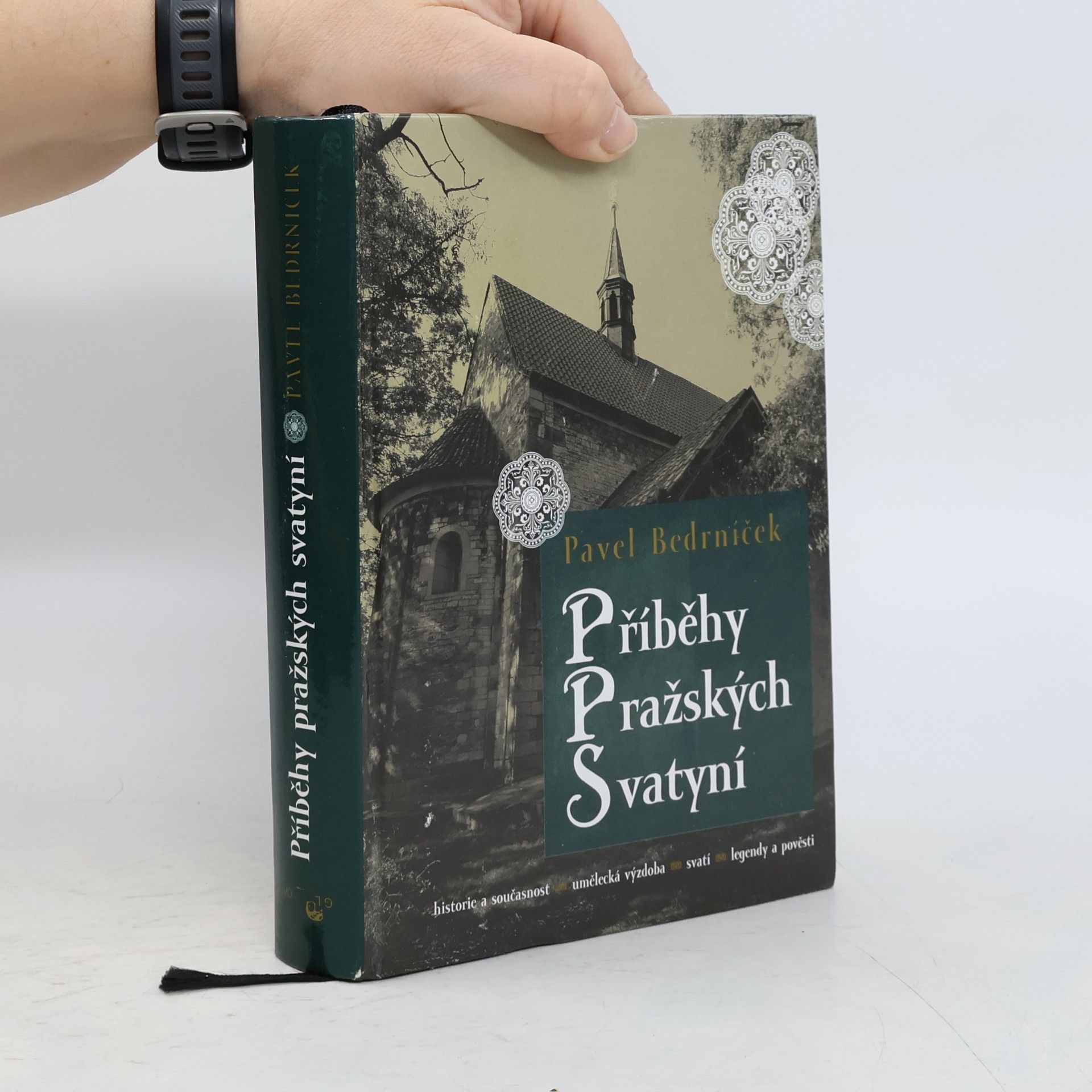Pavel Bedrníček Příběhy pražských svatyní