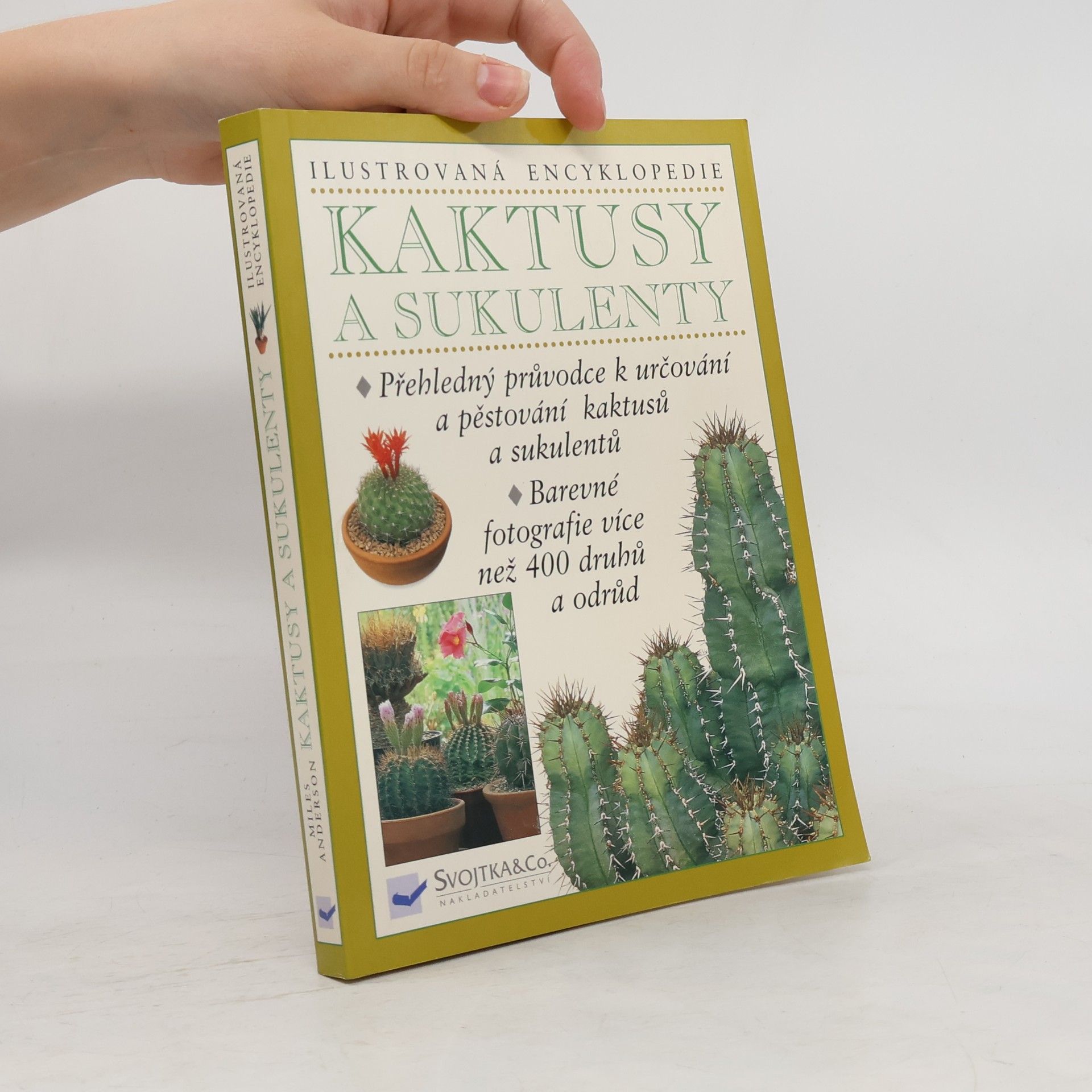 Kaktusy a sukulenty