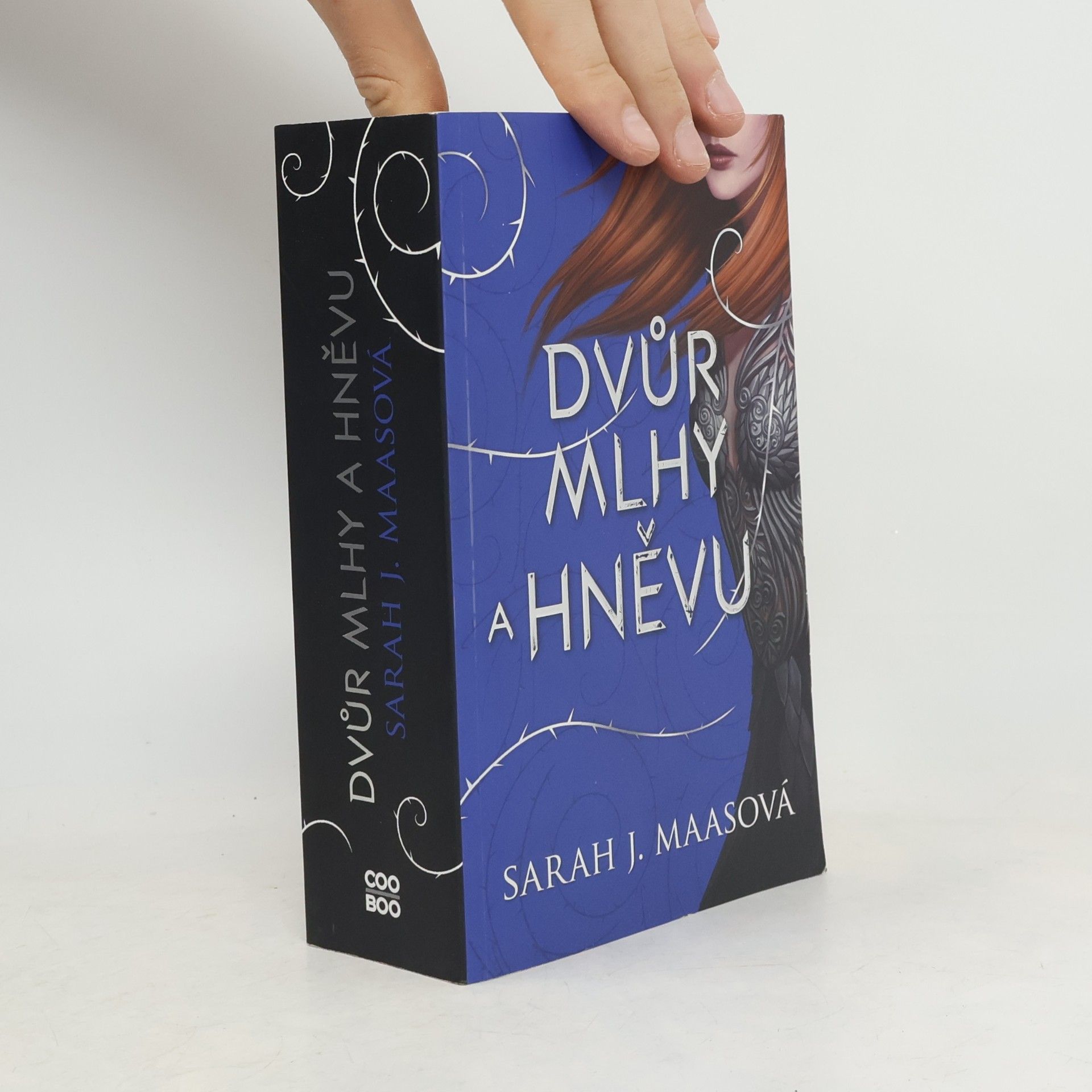 Sarah J. Maas Dvůr mlhy a hněvu