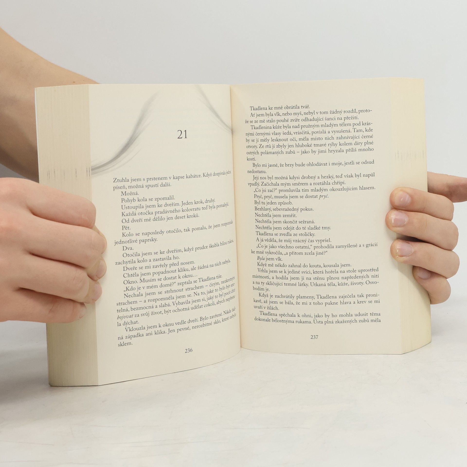 Sarah J. Maas Dvůr mlhy a hněvu