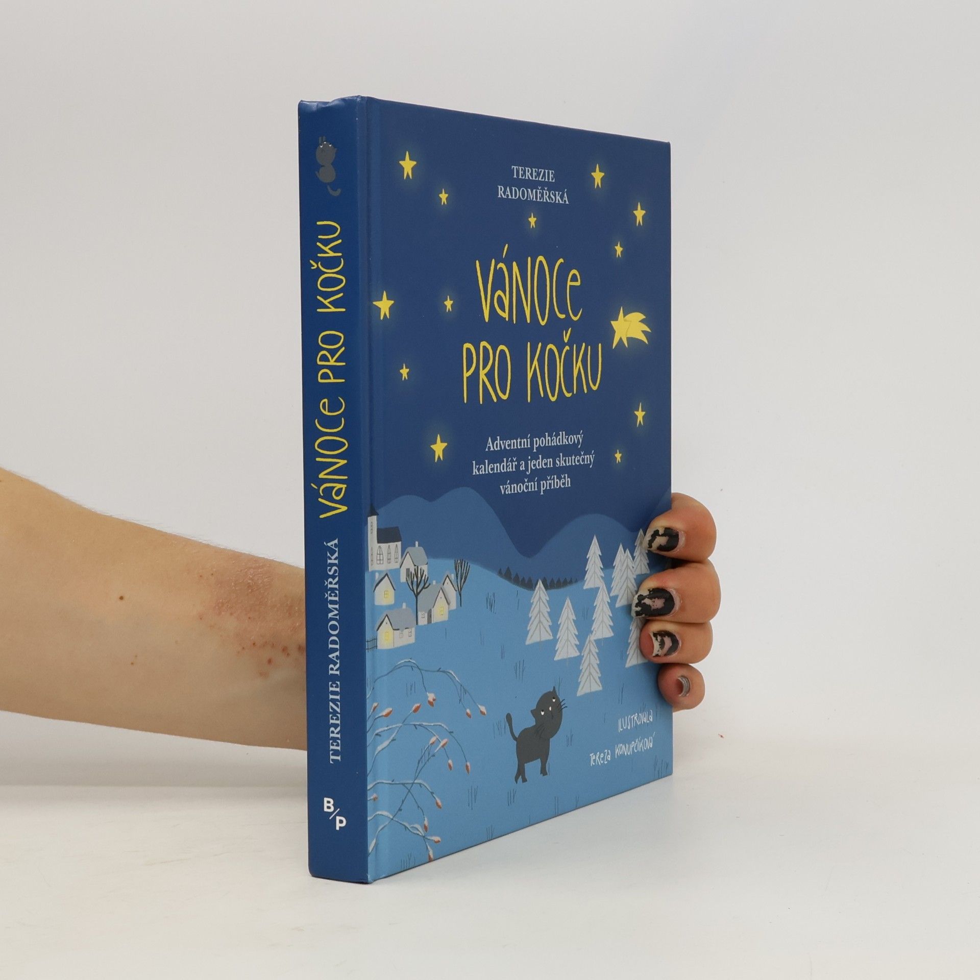 Terezie Radoměřská Vánoce pro kočku
