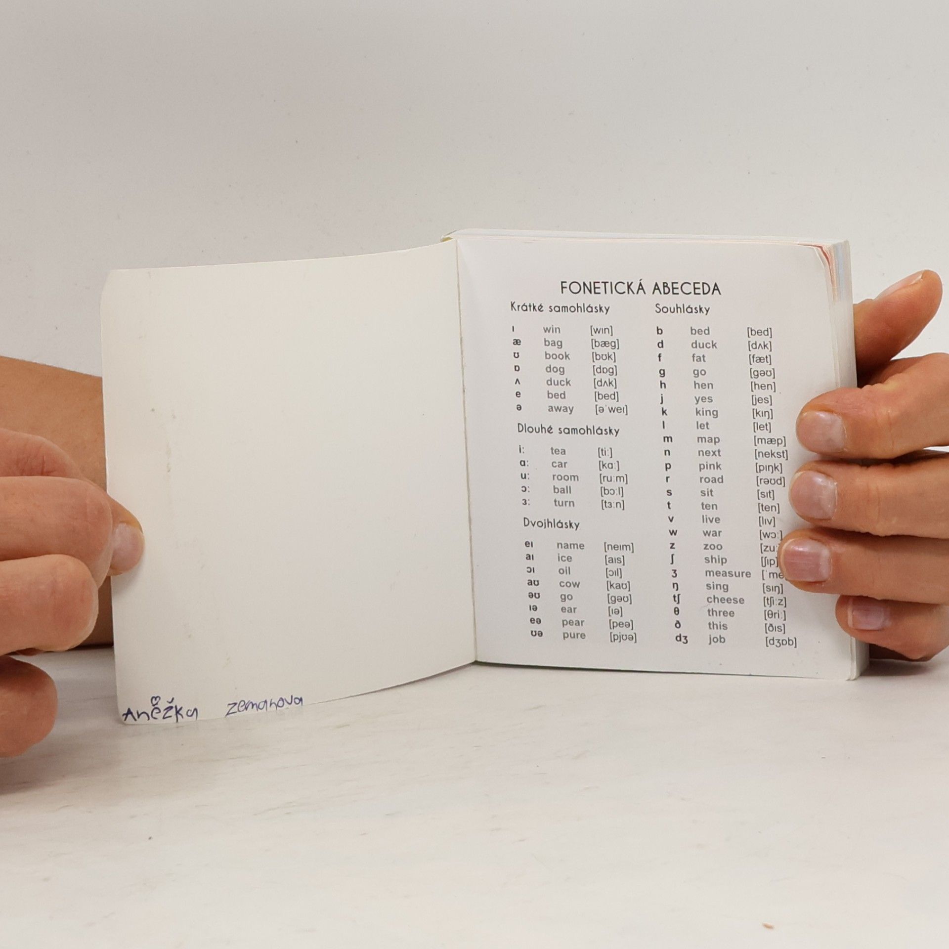 Autorenkollektiv Anglicko-český fotoslovník