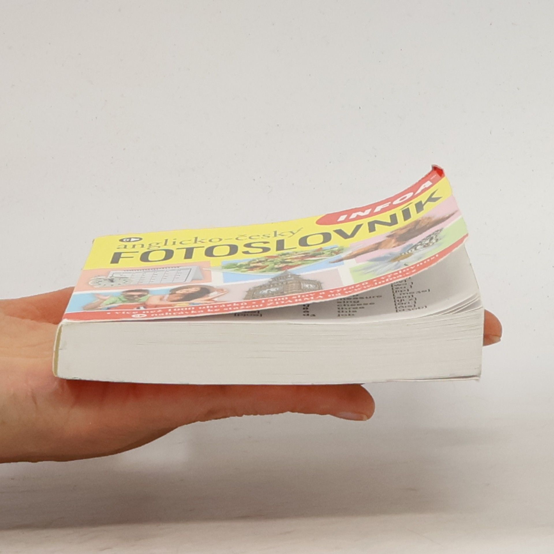 Autorenkollektiv Anglicko-český fotoslovník
