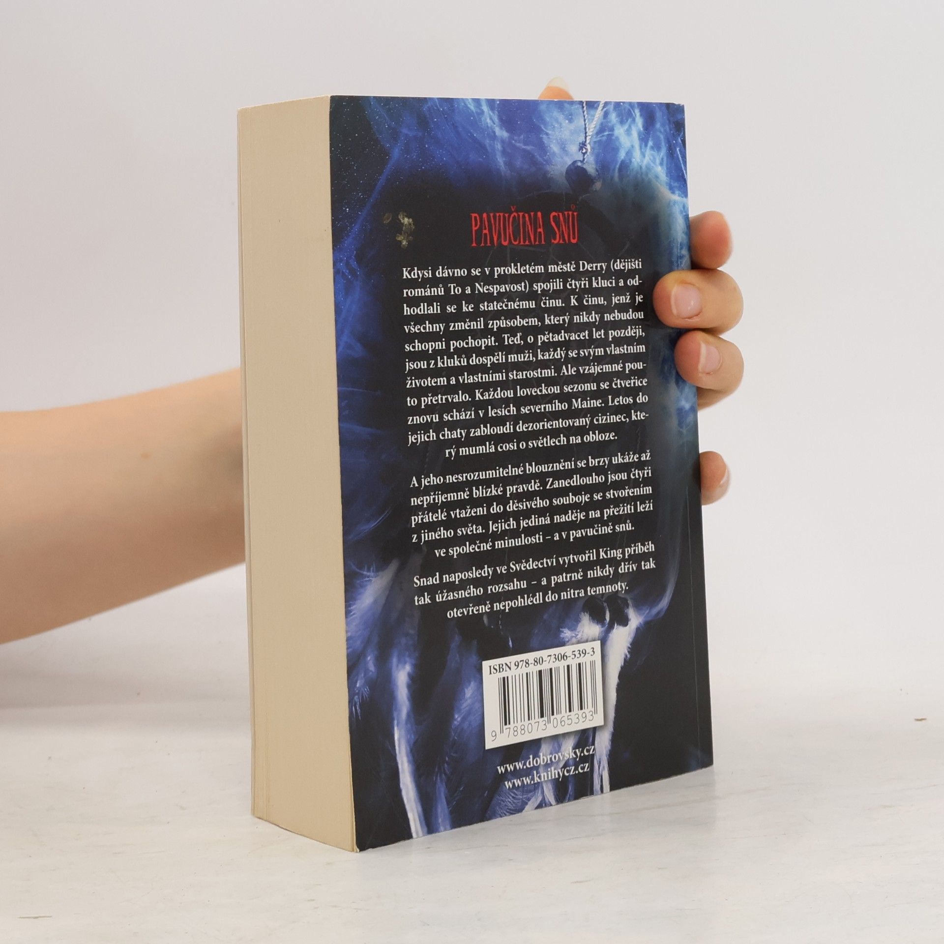Stephen King Pavučina snů