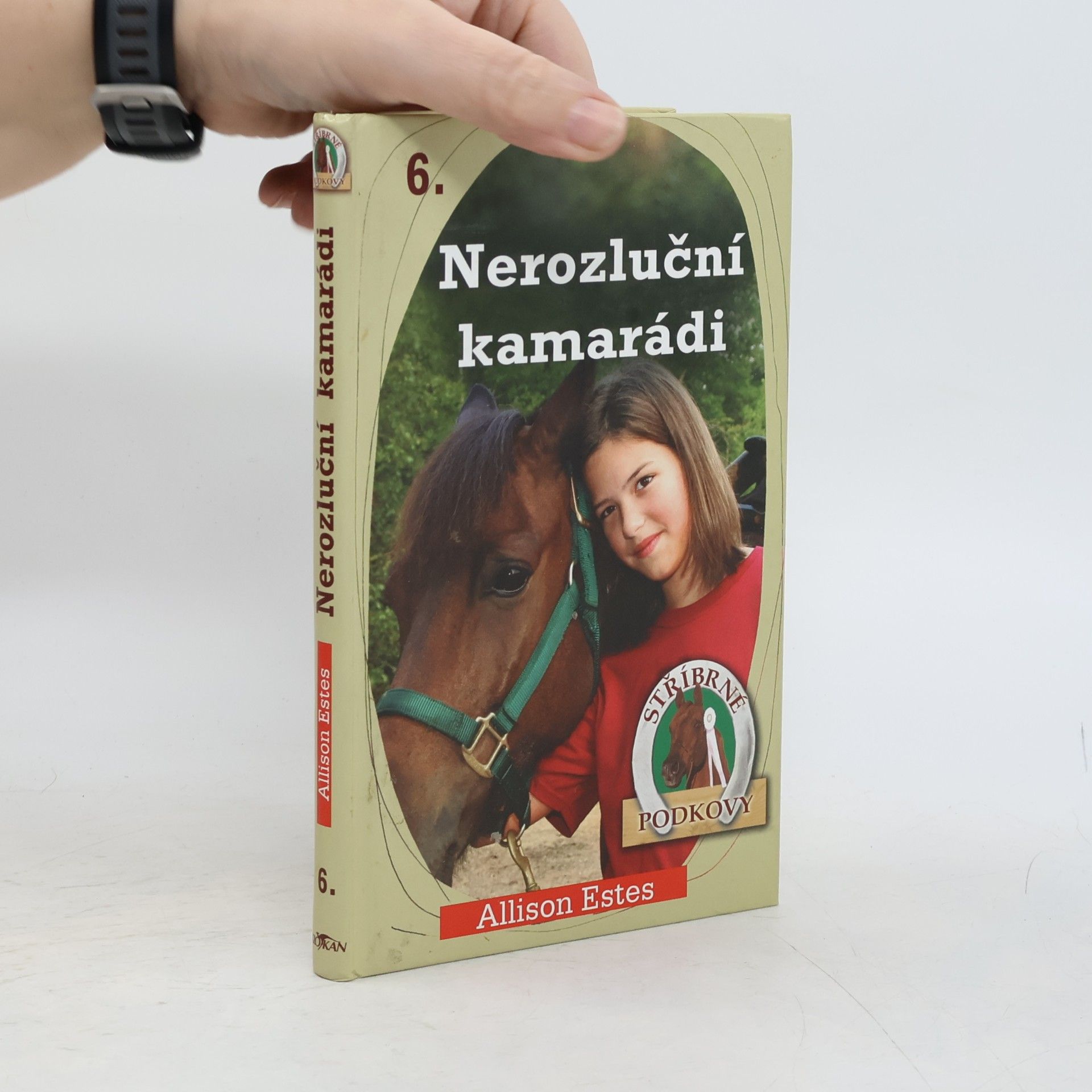 Stříbrné podkovy. 6, Nerozluční kamarádi