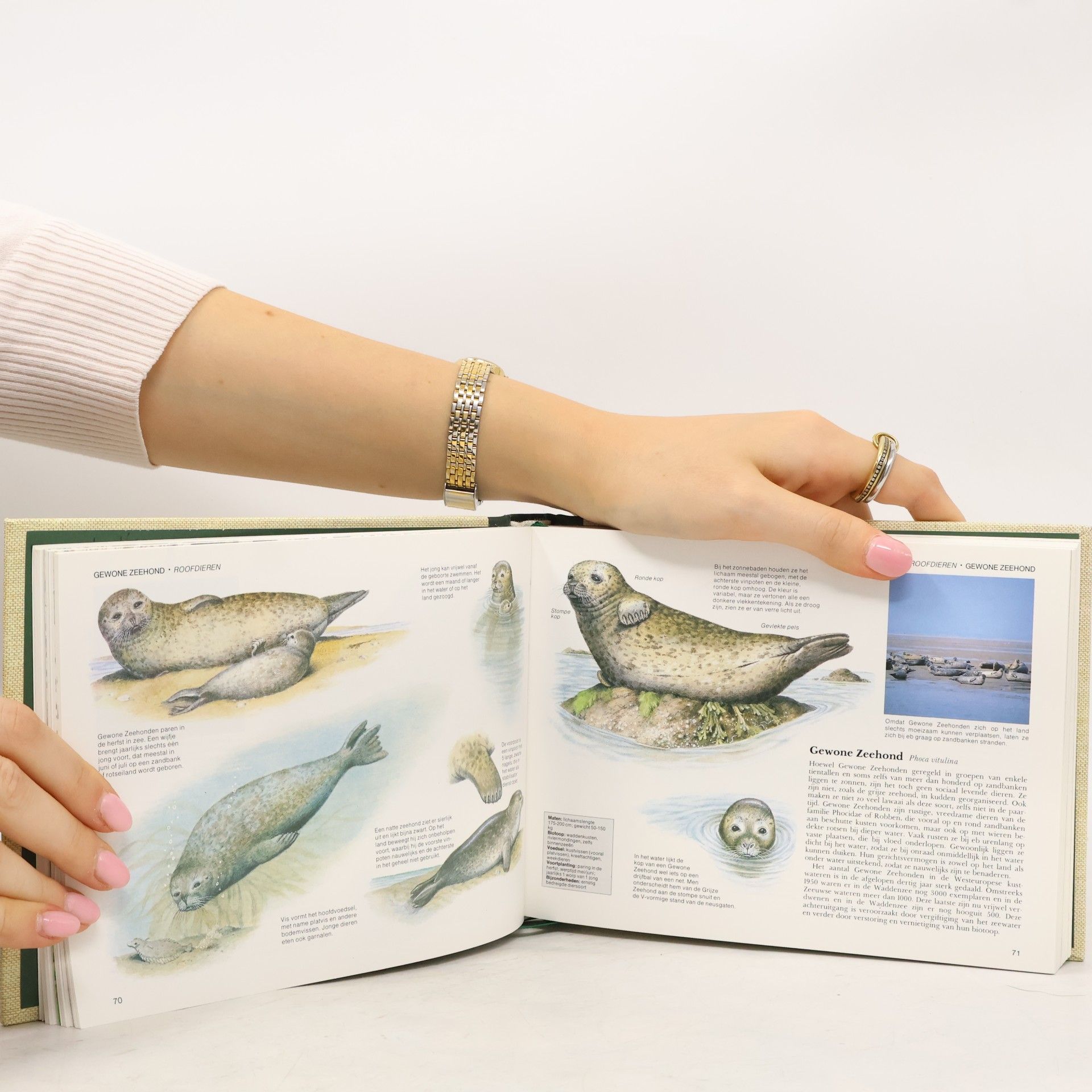 Kolektiv autorů Zoogdieren