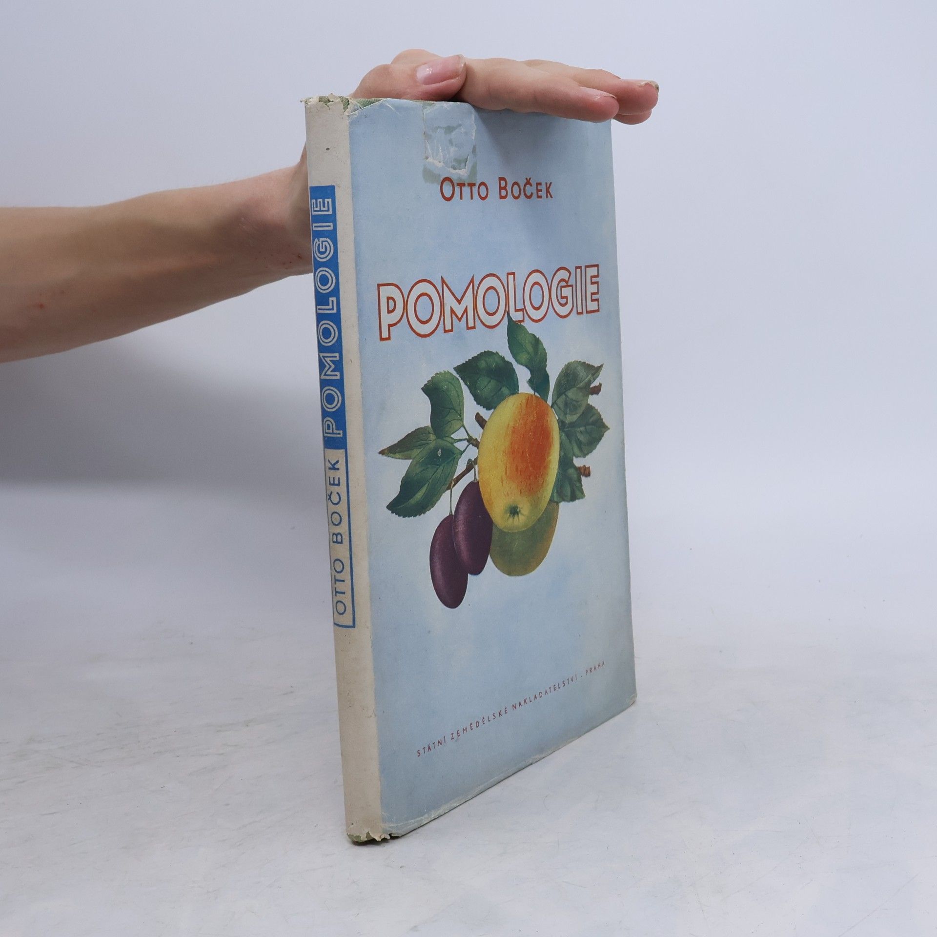 Otto Boček Pomologie