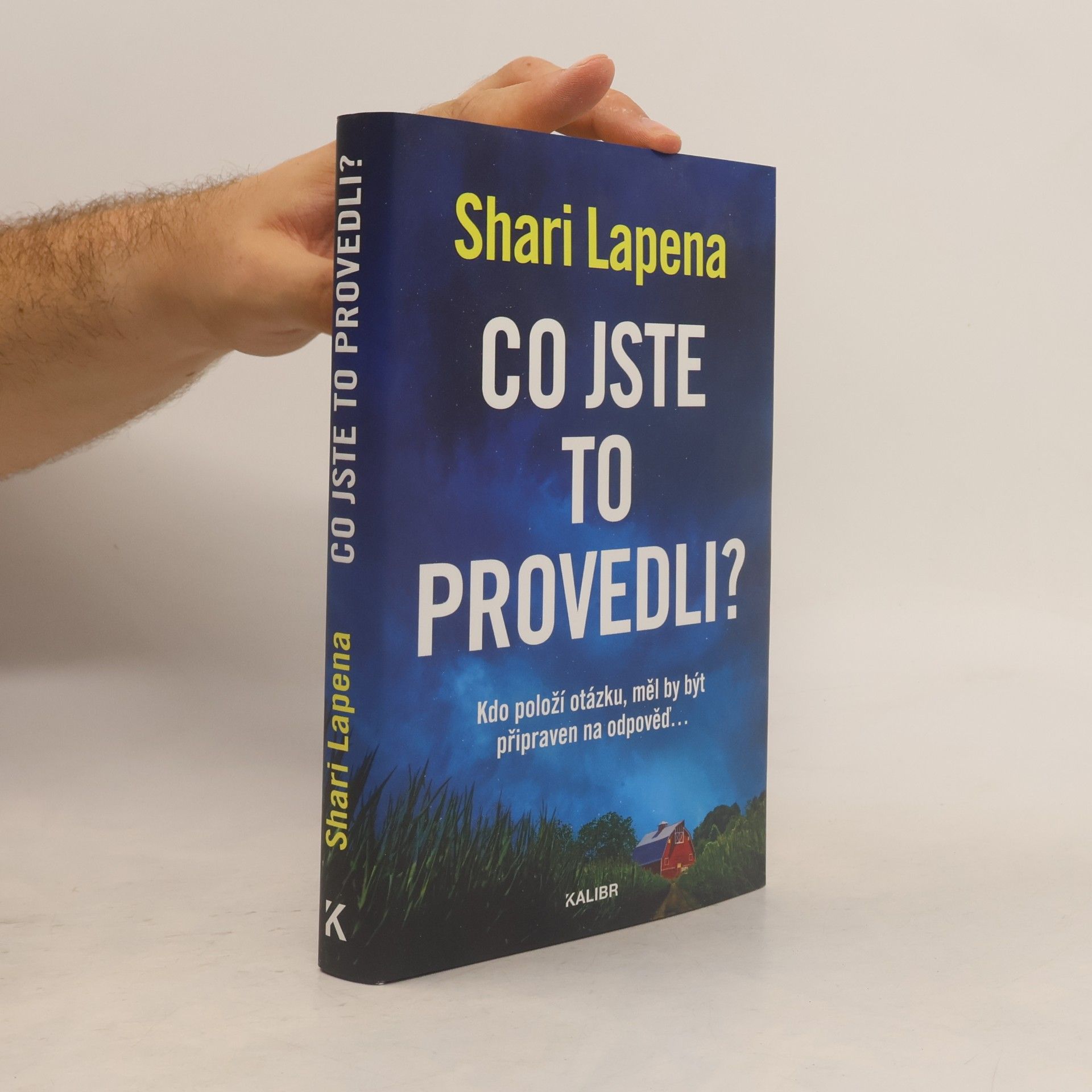 Shari Lapena Co jste to provedli?