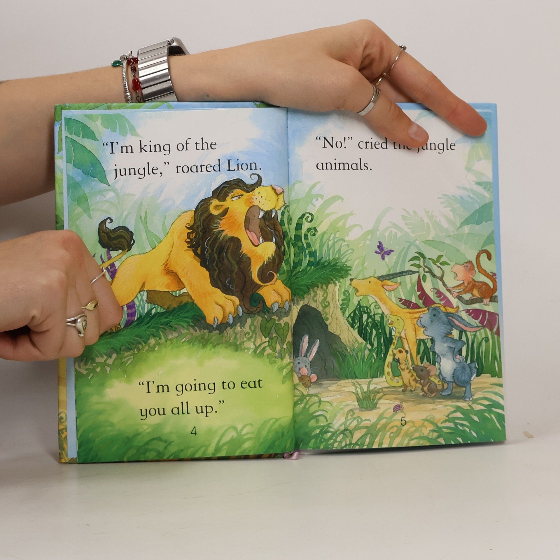 Zanna Davidson Clever Rabbit and the Lion