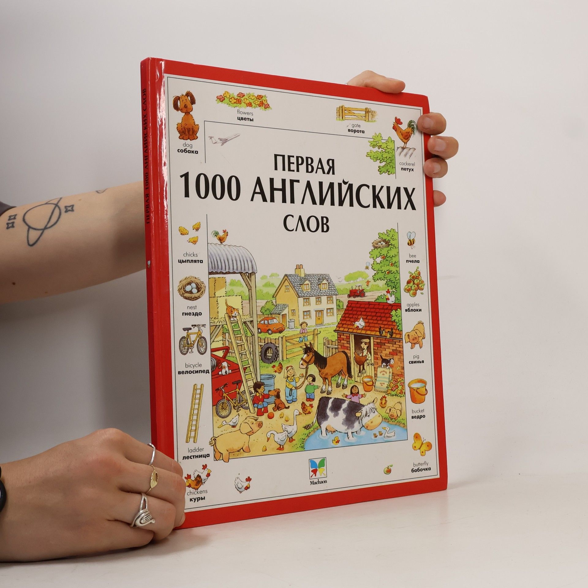 Collectif d'auteurs Англо Русский Словарь в Картинках
