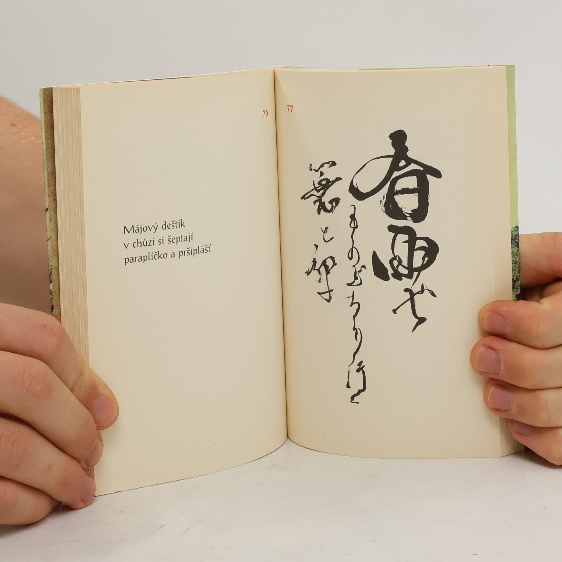 Petr Geisler Pár much a já. Malý výběr z japonských haiku