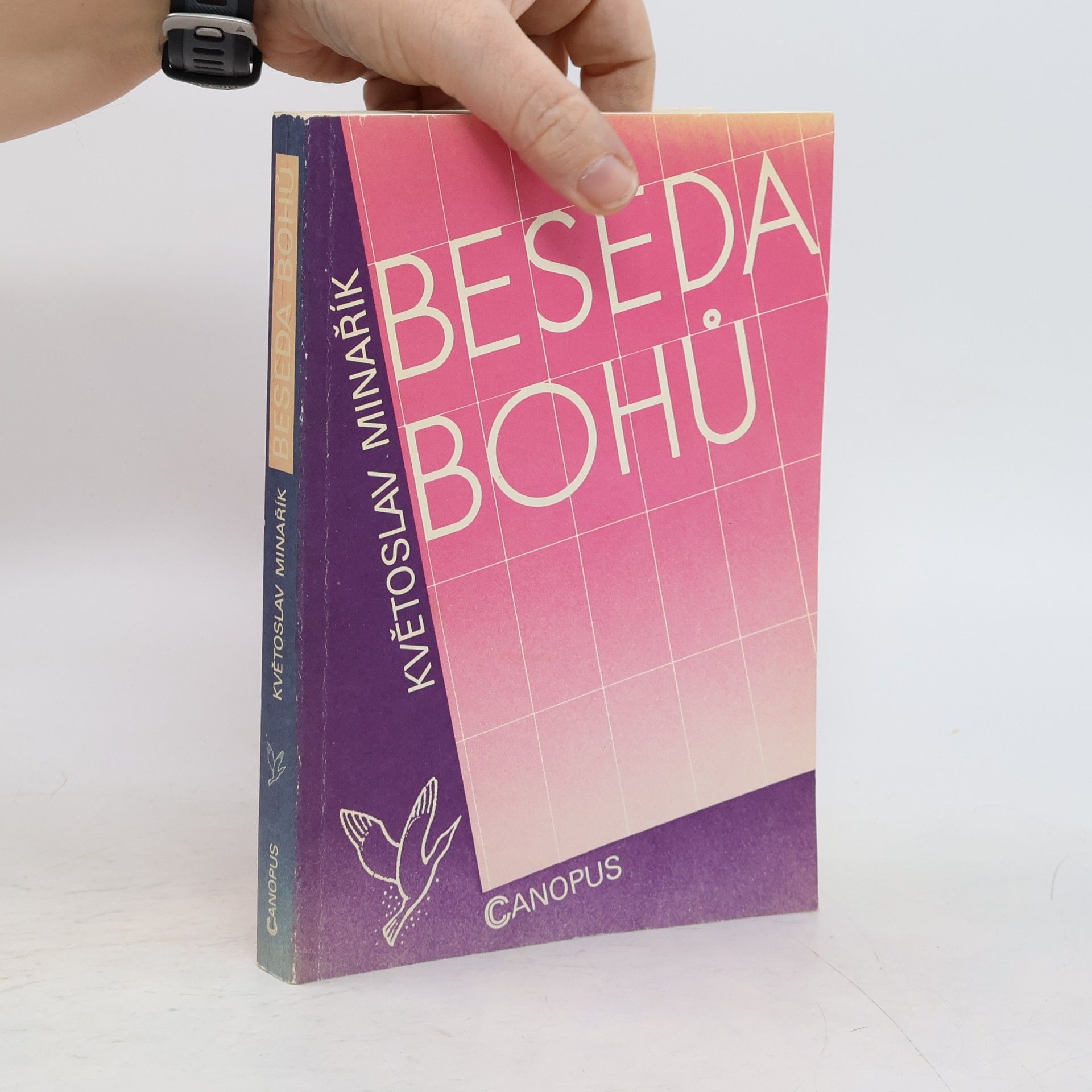 Kvetoslav Minarik Beseda bohů