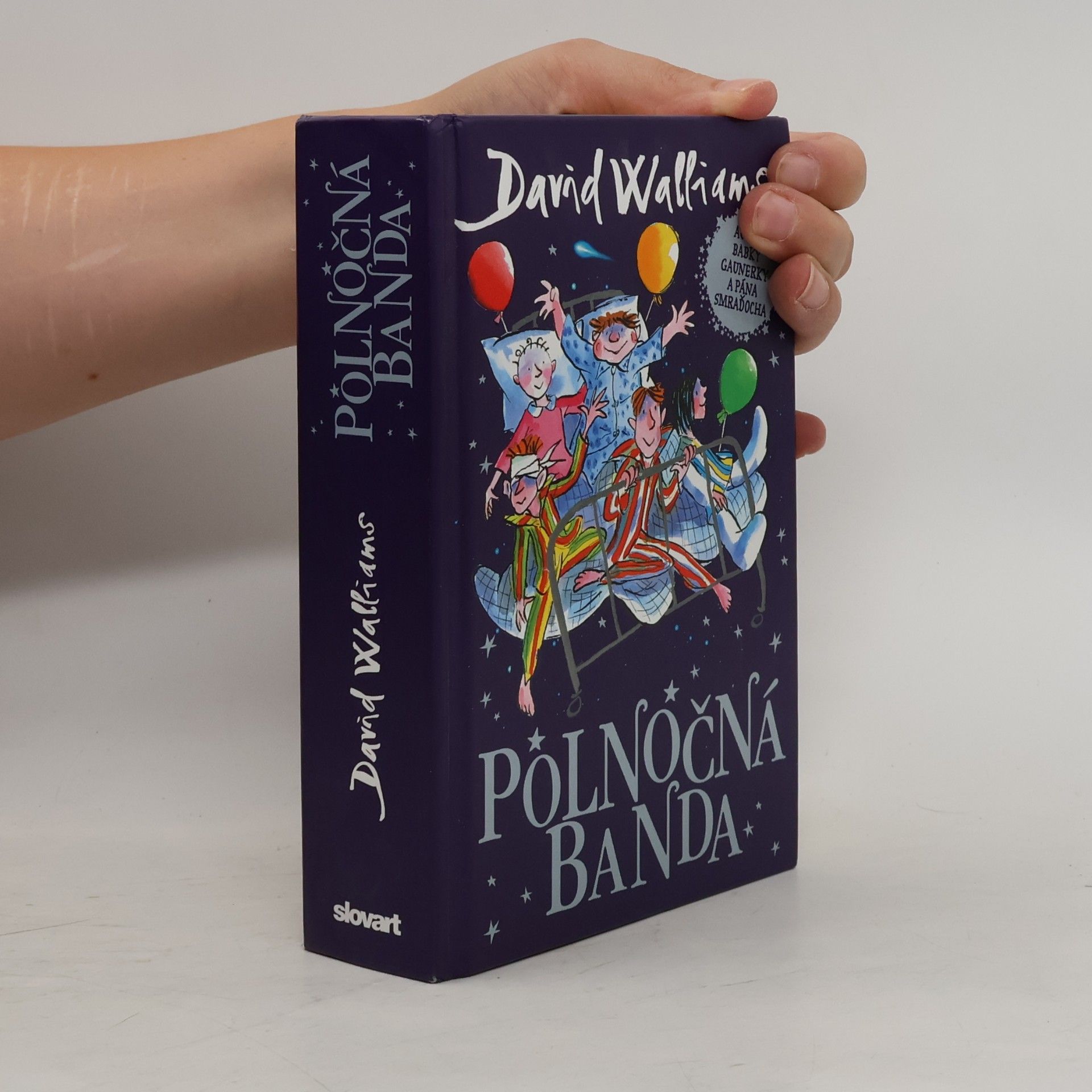 David Walliams Polnočná banda